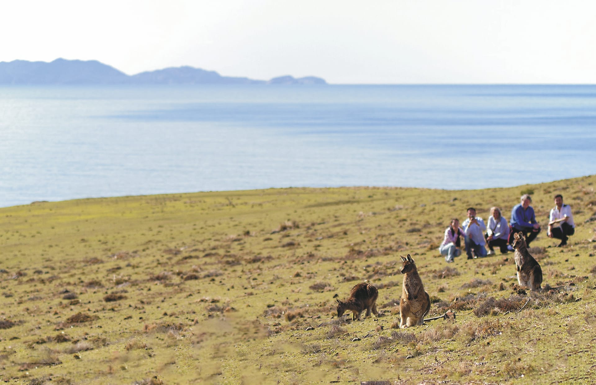 AUS_TAS_20191008_IVB_3