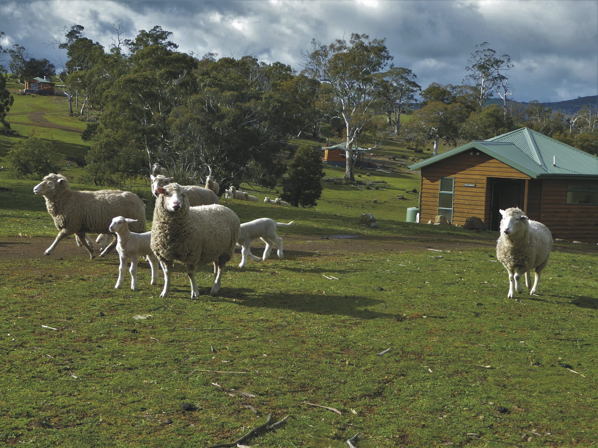 AUS_TAS_20231031_BR_3