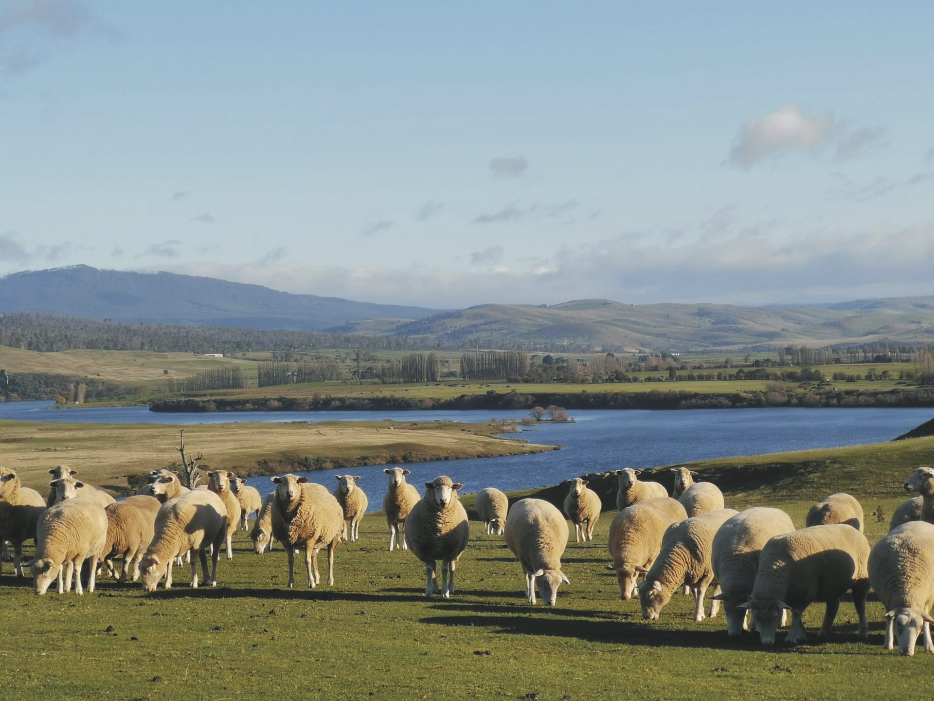 AUS_TAS_20231031_BR_4