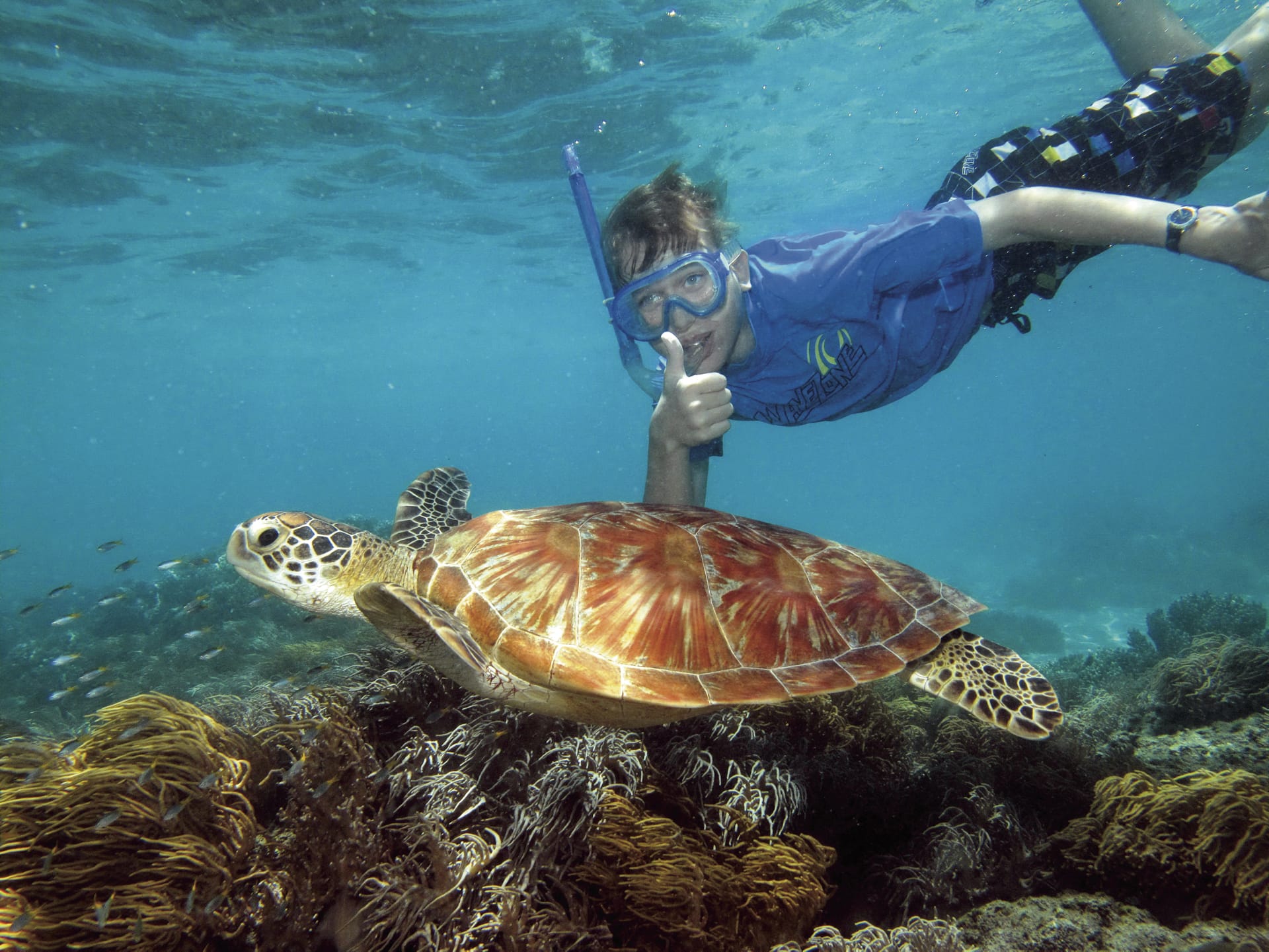 AUS_TRA_003_20171108_BR