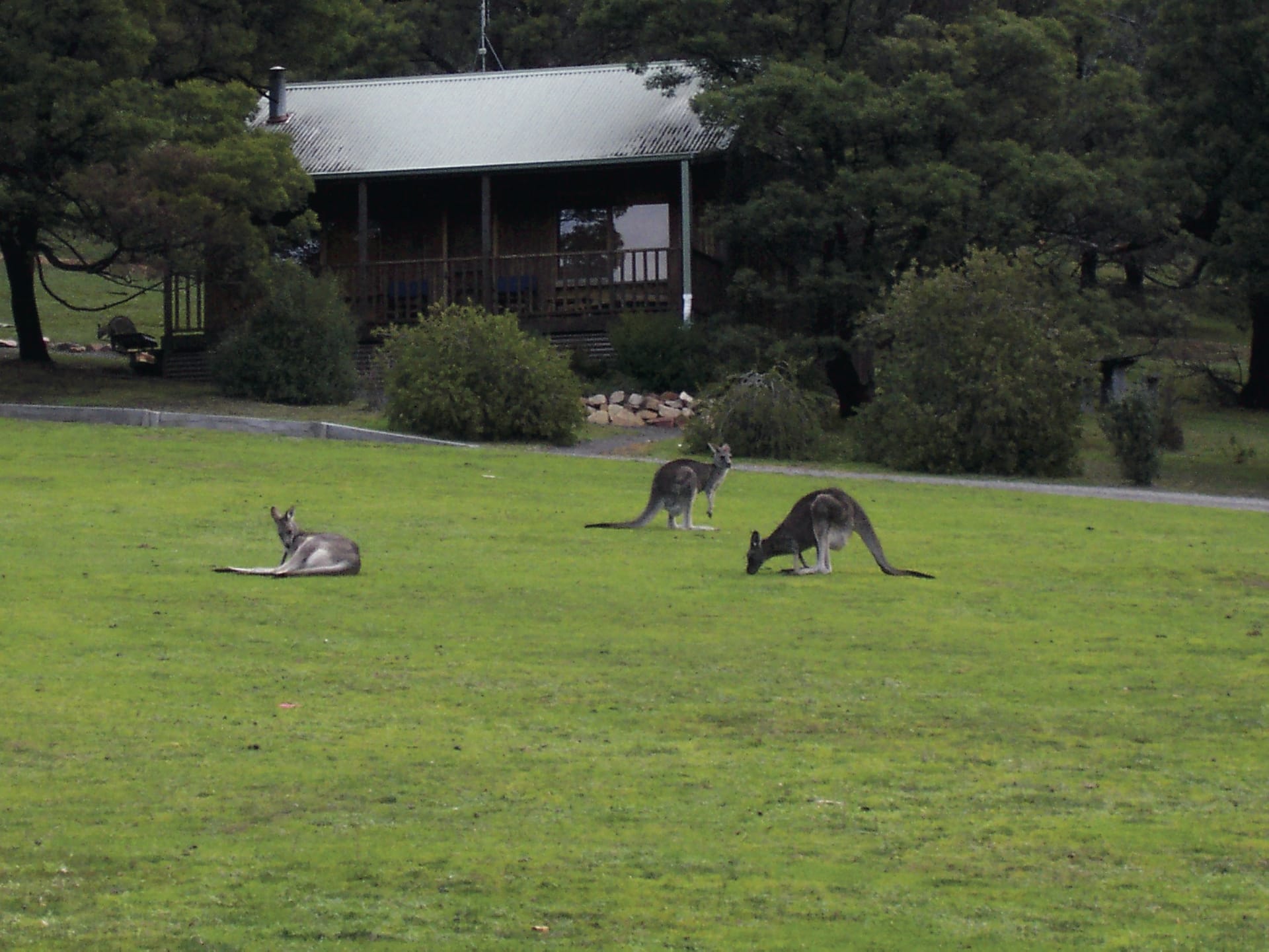 AUS_VIC_002_20140923_