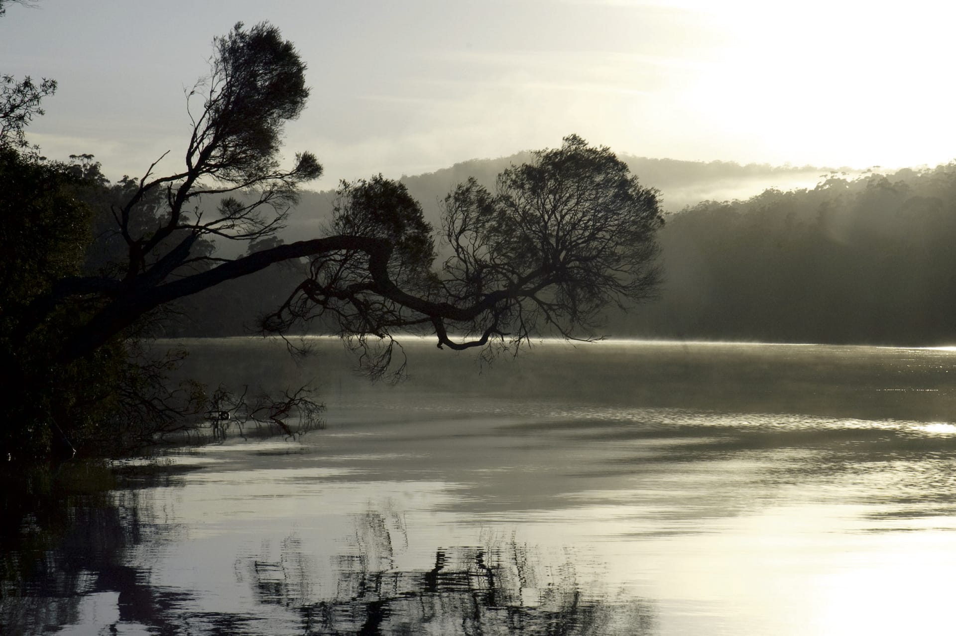 AUS_VIC_003_20120206_IvB