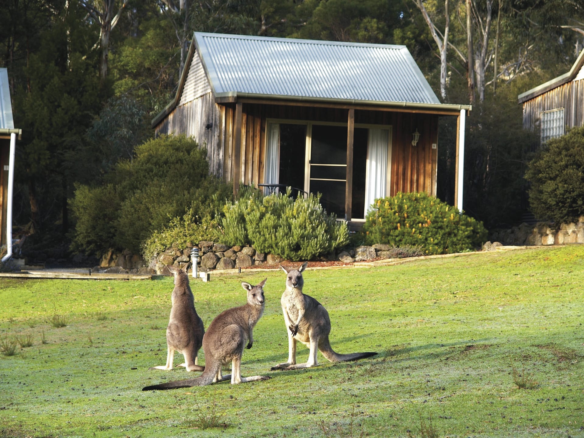 AUS_VIC_013_20150831_BR