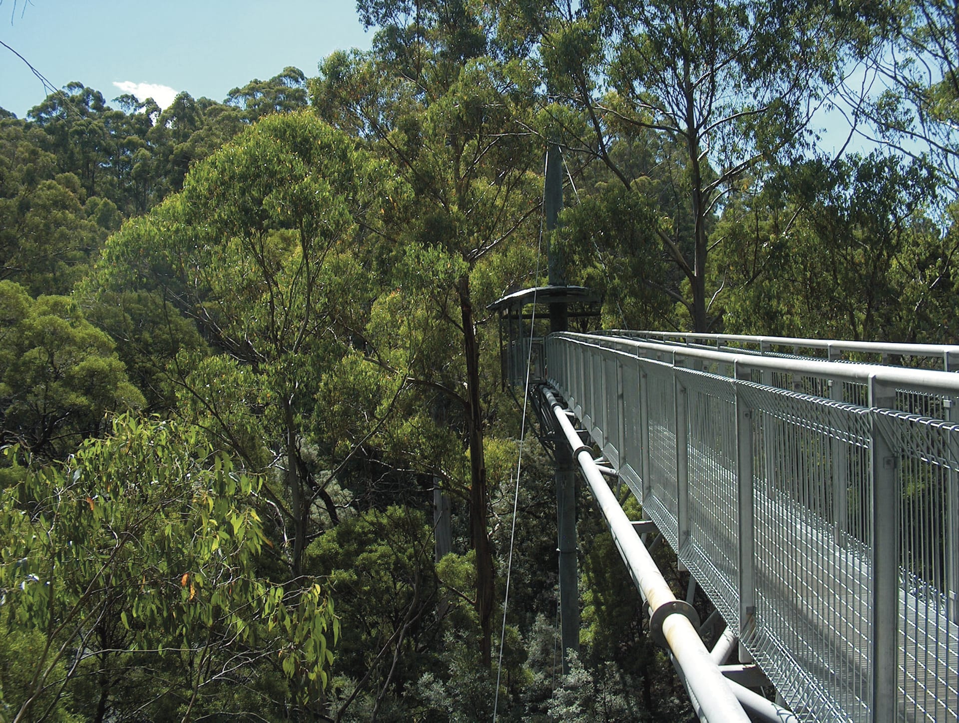 AUS_VIC_019_20120208_IvB