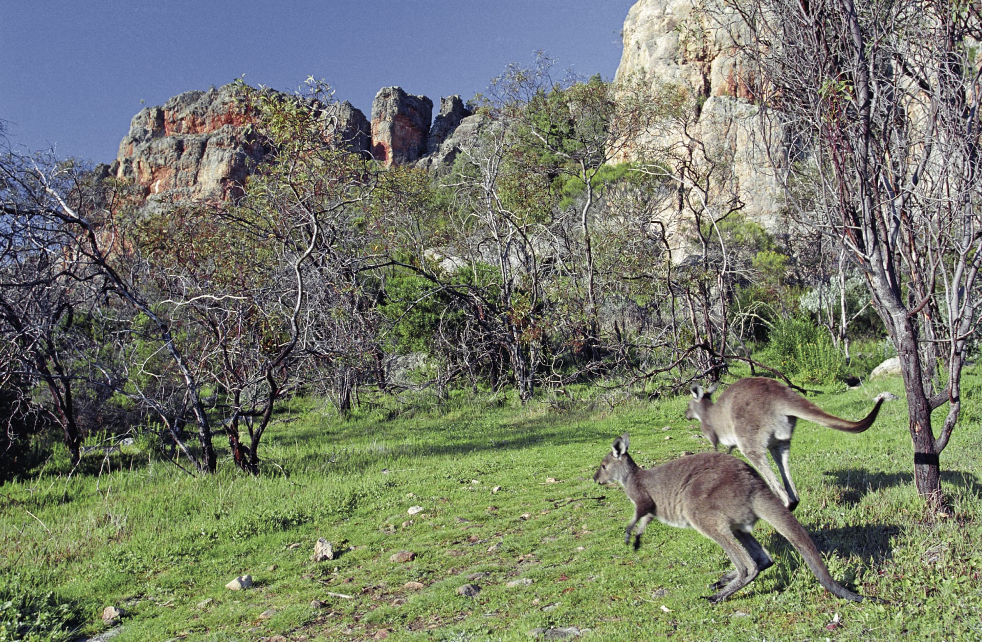 AUS_VIC_036_20120209_IvB