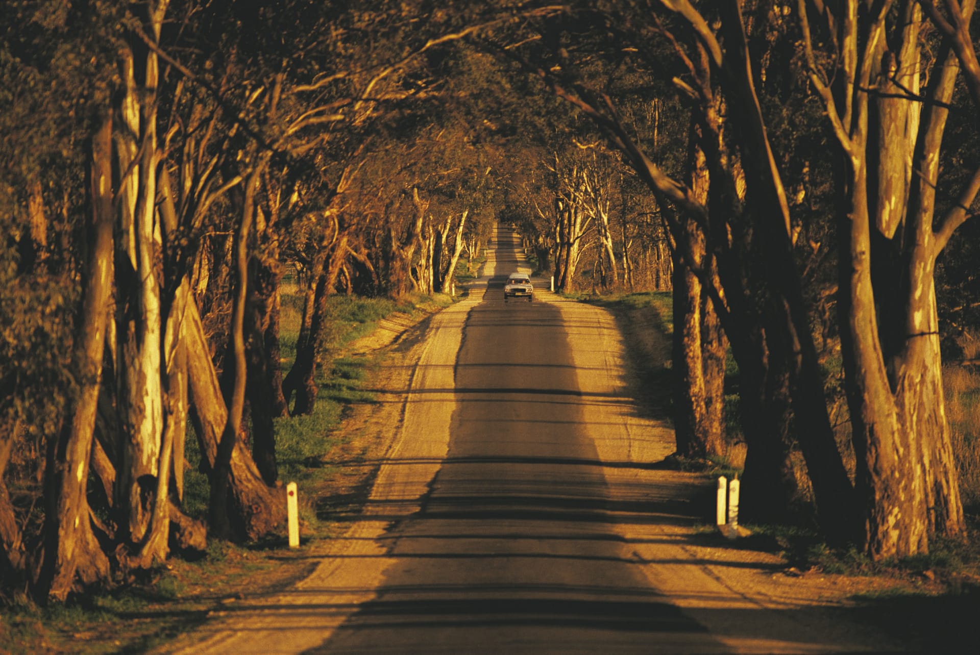 AUS_VIC_397_20070626_BR