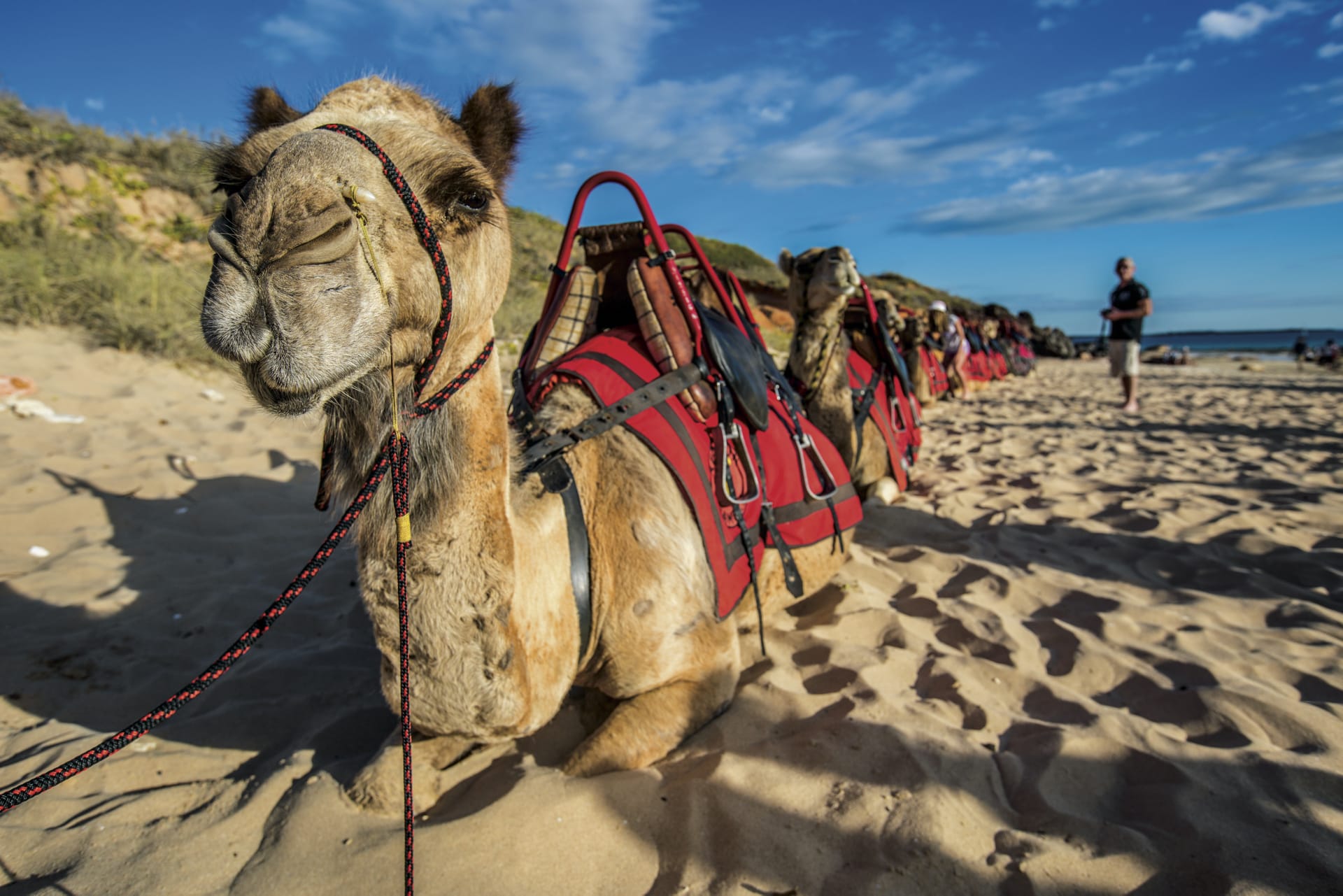 AUS_WA_002_20160906_IvB