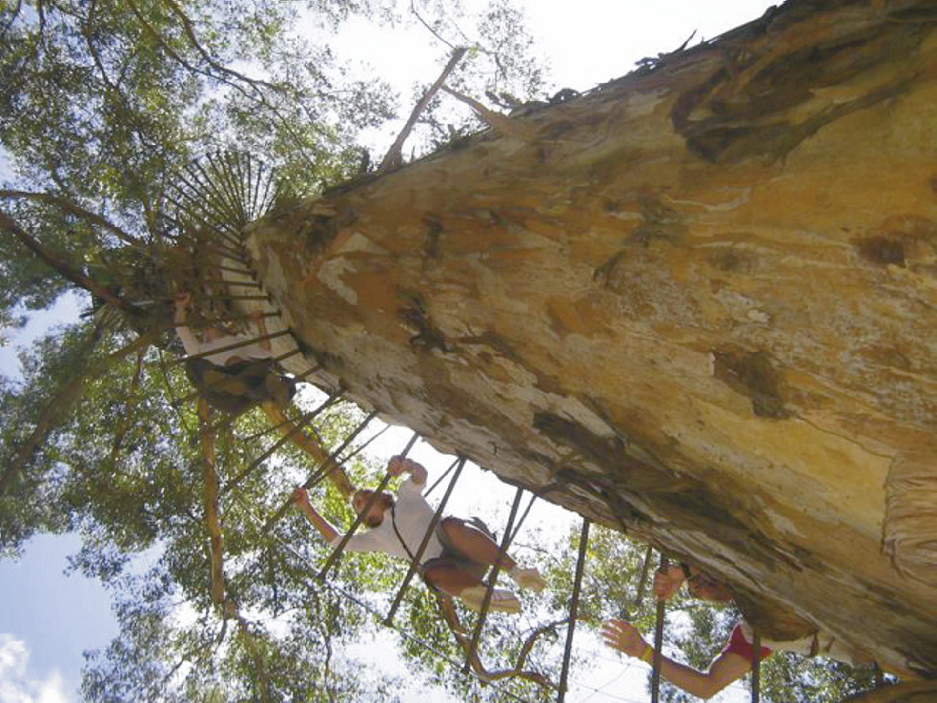 AUS_WA_006_20080729_IVB