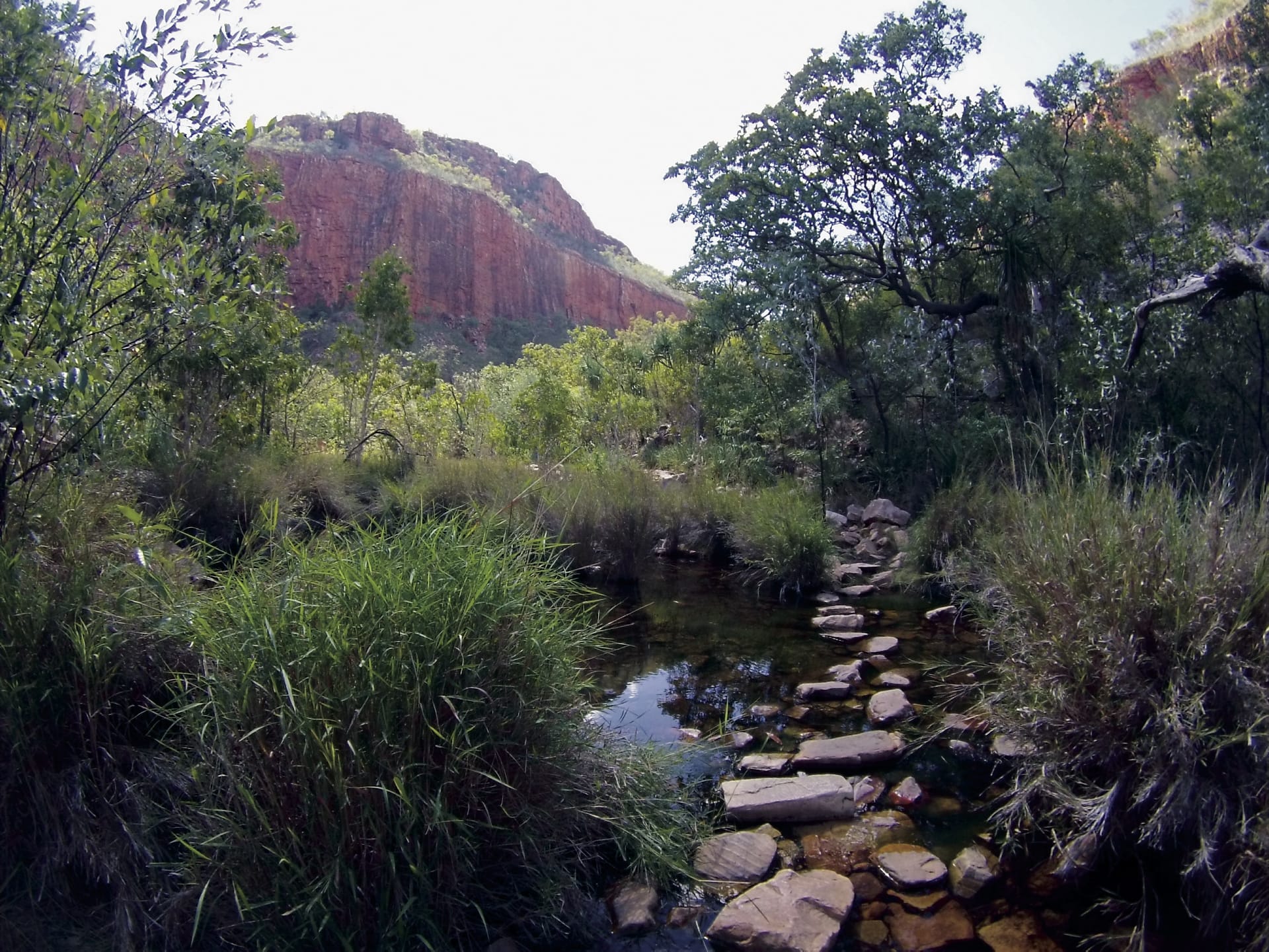 AUS_WA_010_20160718_IvB