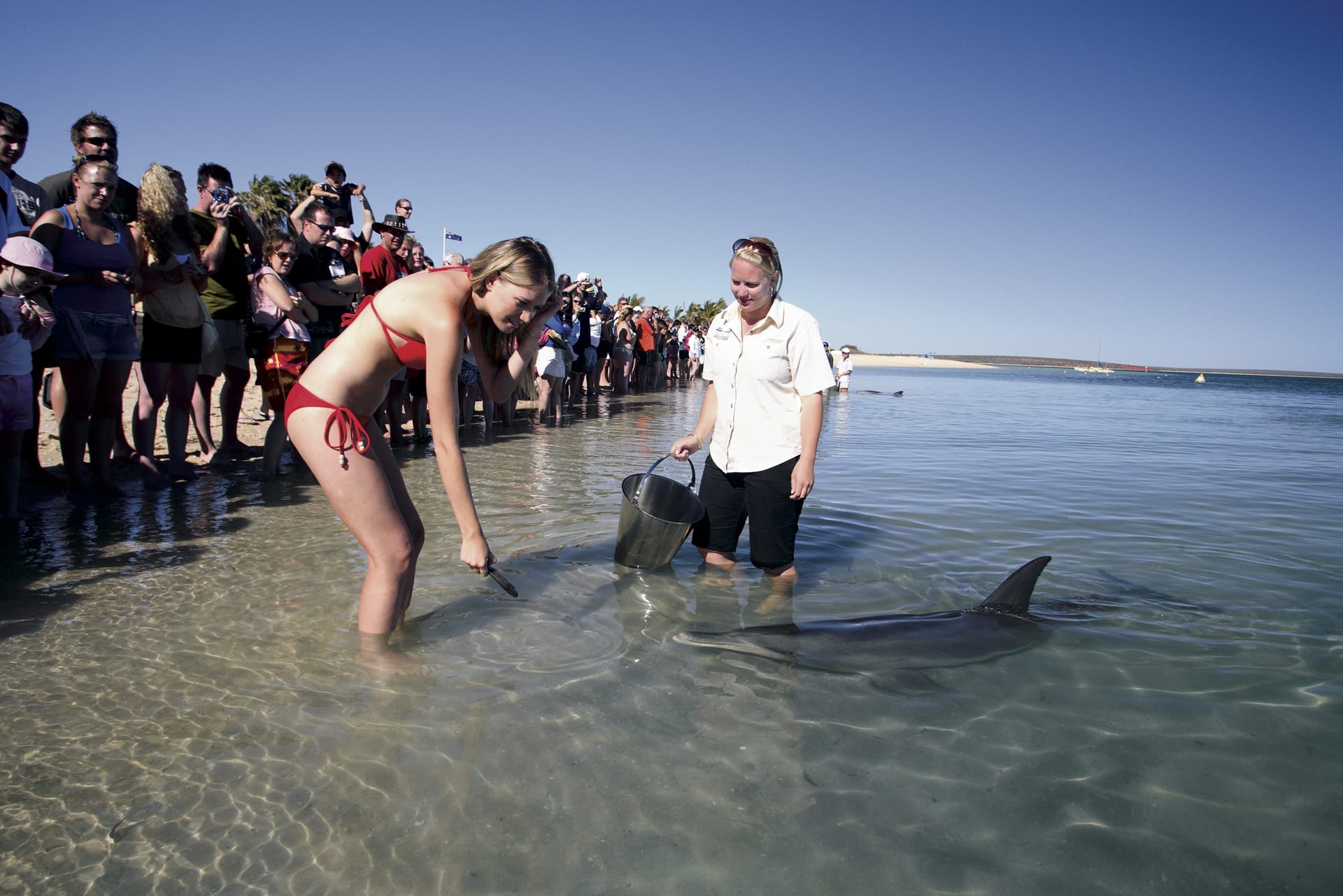 AUS_WA_015_20131010_IvB