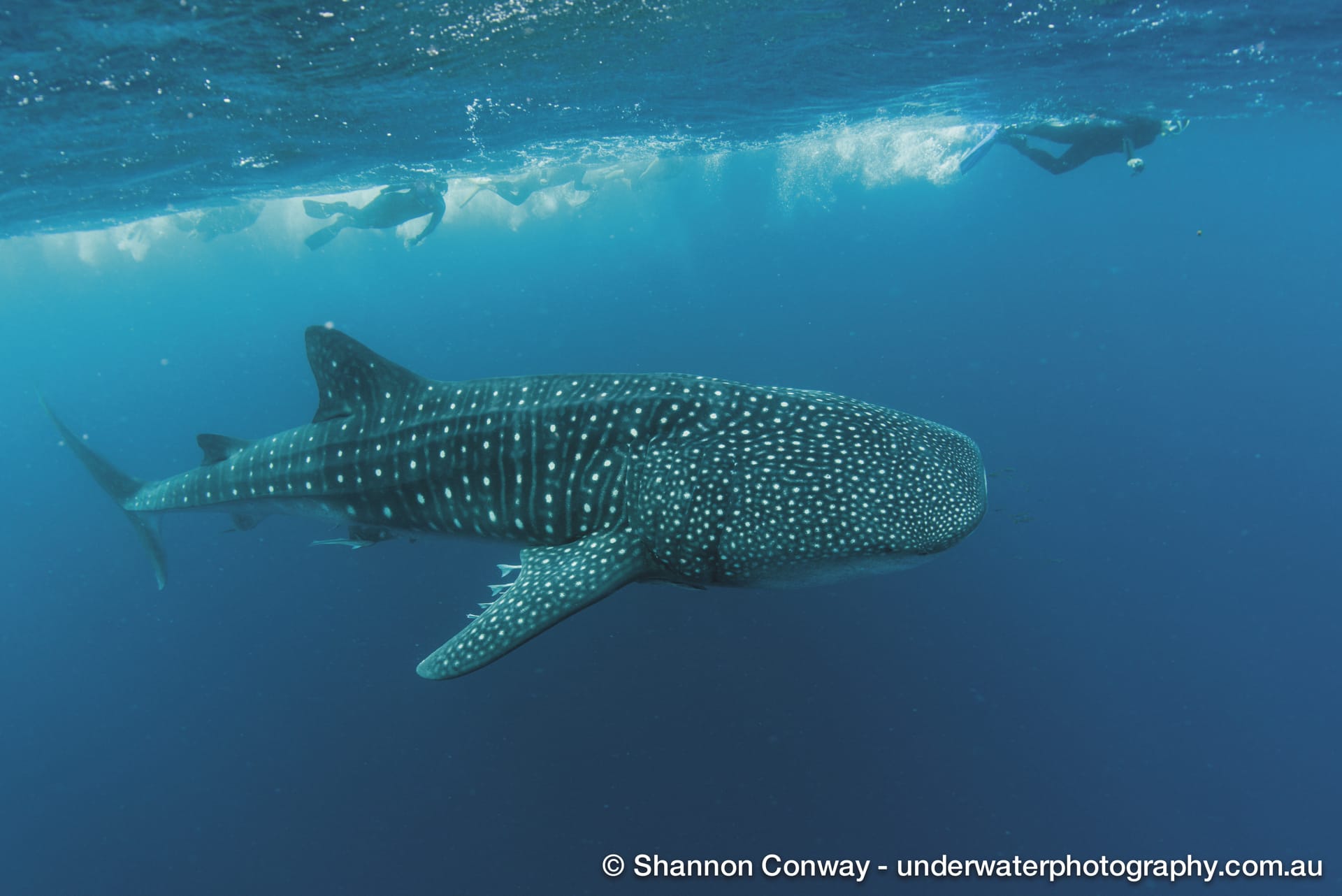 AUS_WA_027_20150126_IvB