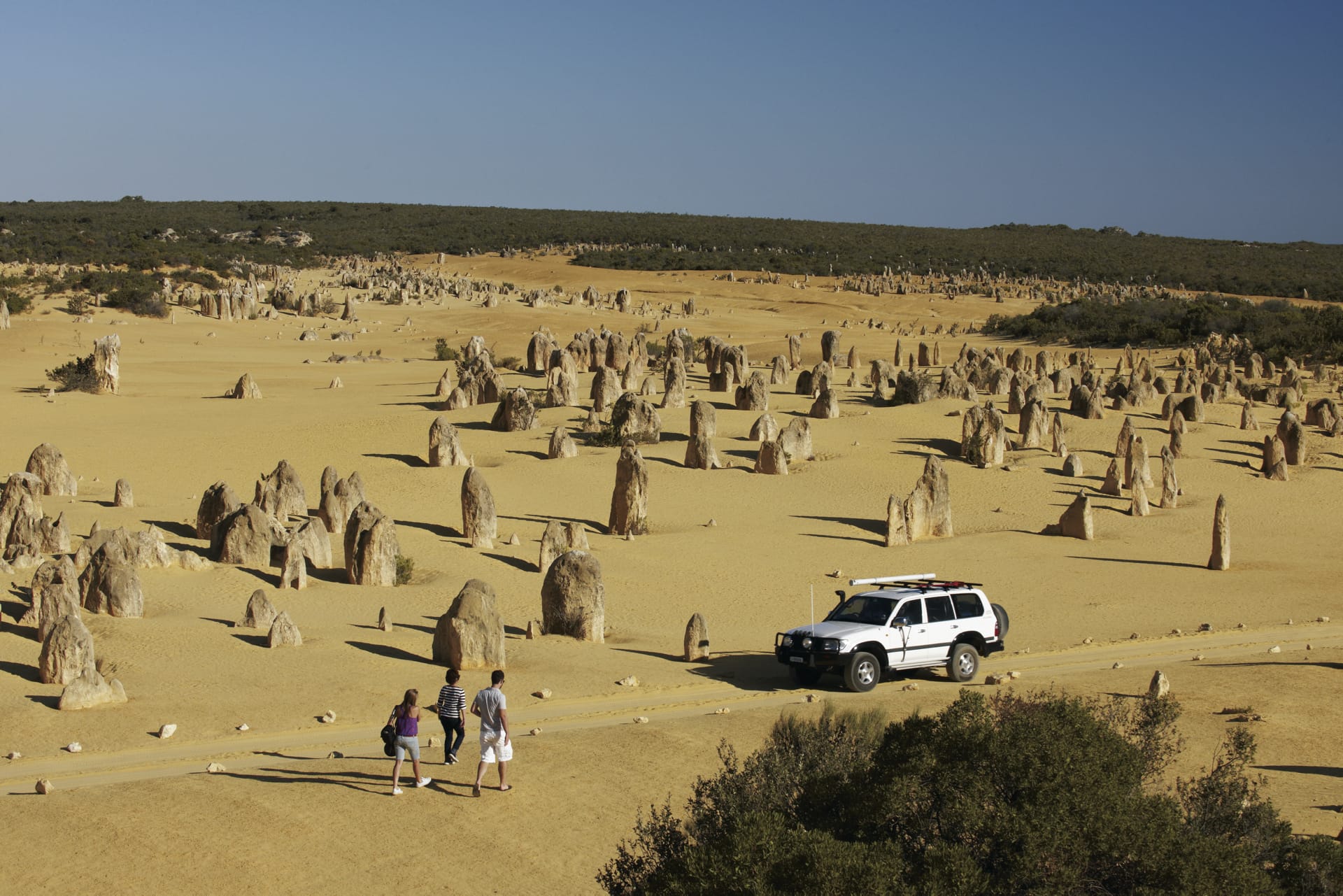 AUS_WA_032_20150227_IvB