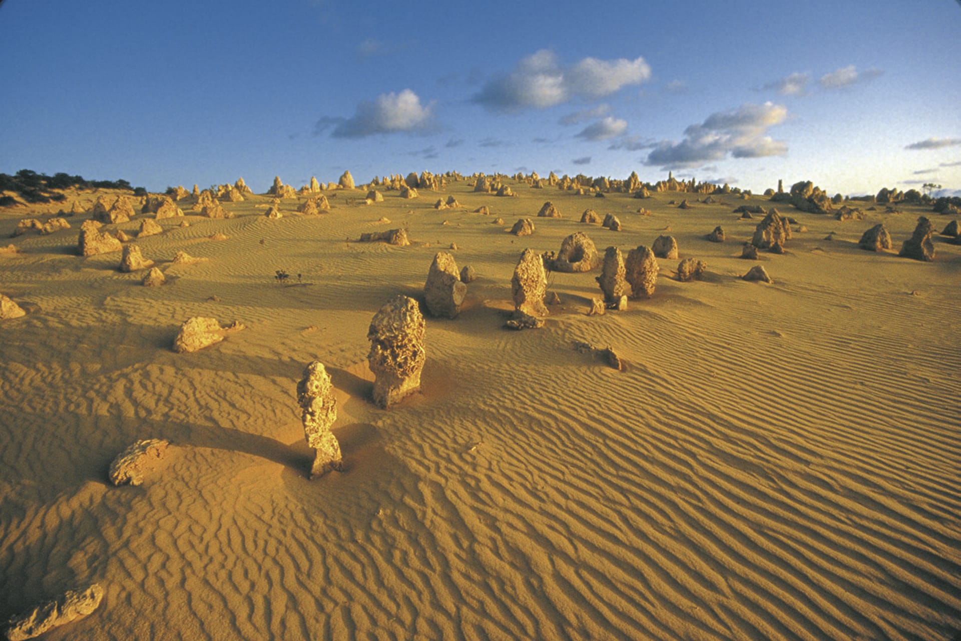 AUS_WA_124_20070903_BR