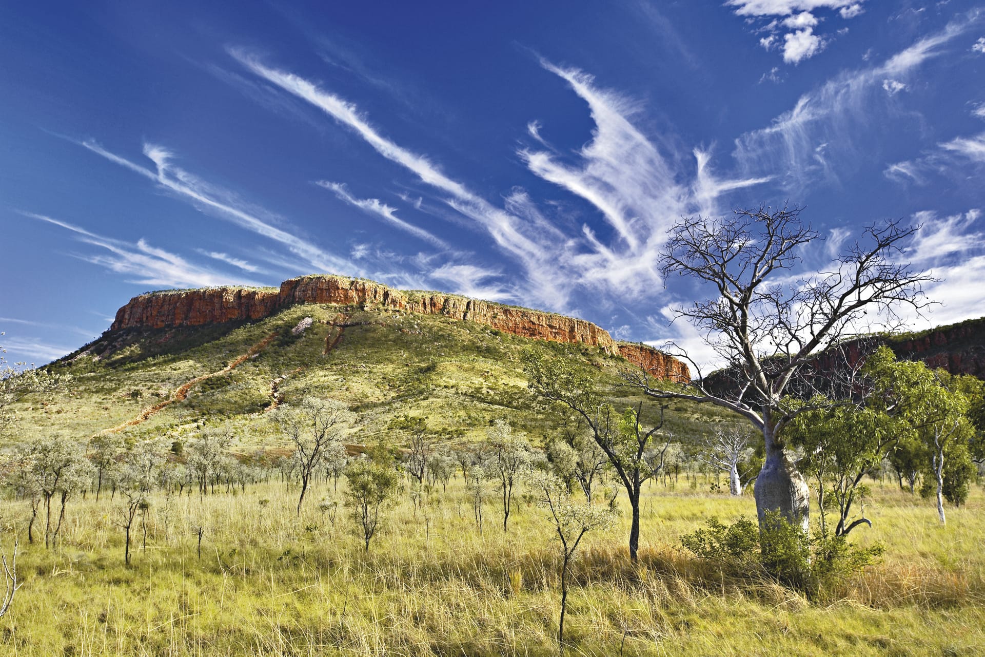 AUS_WA_155_20080829_IVB