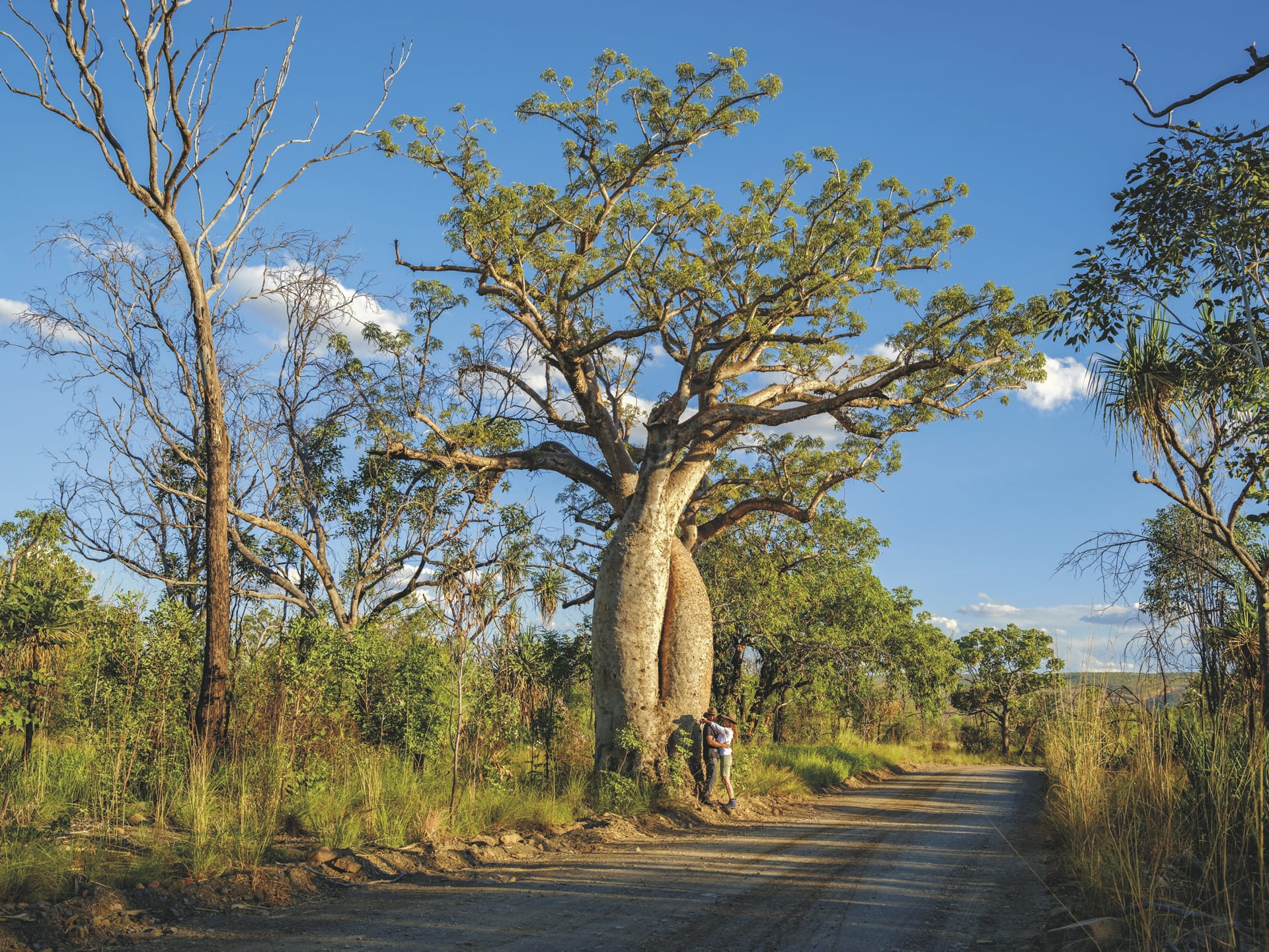 AUS_WA_20190726_BR_2