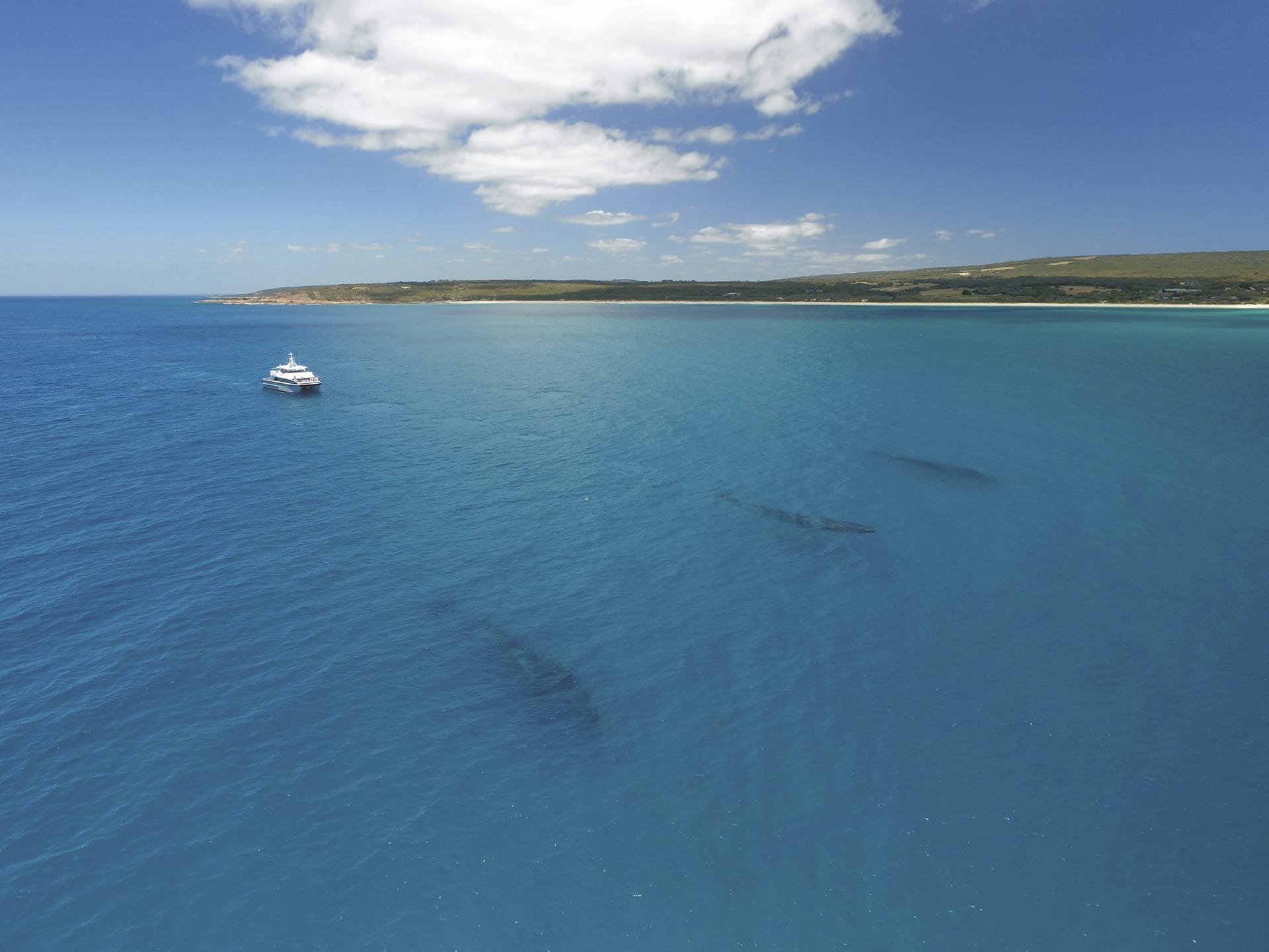 AUS_WA_20190922_IVB_4