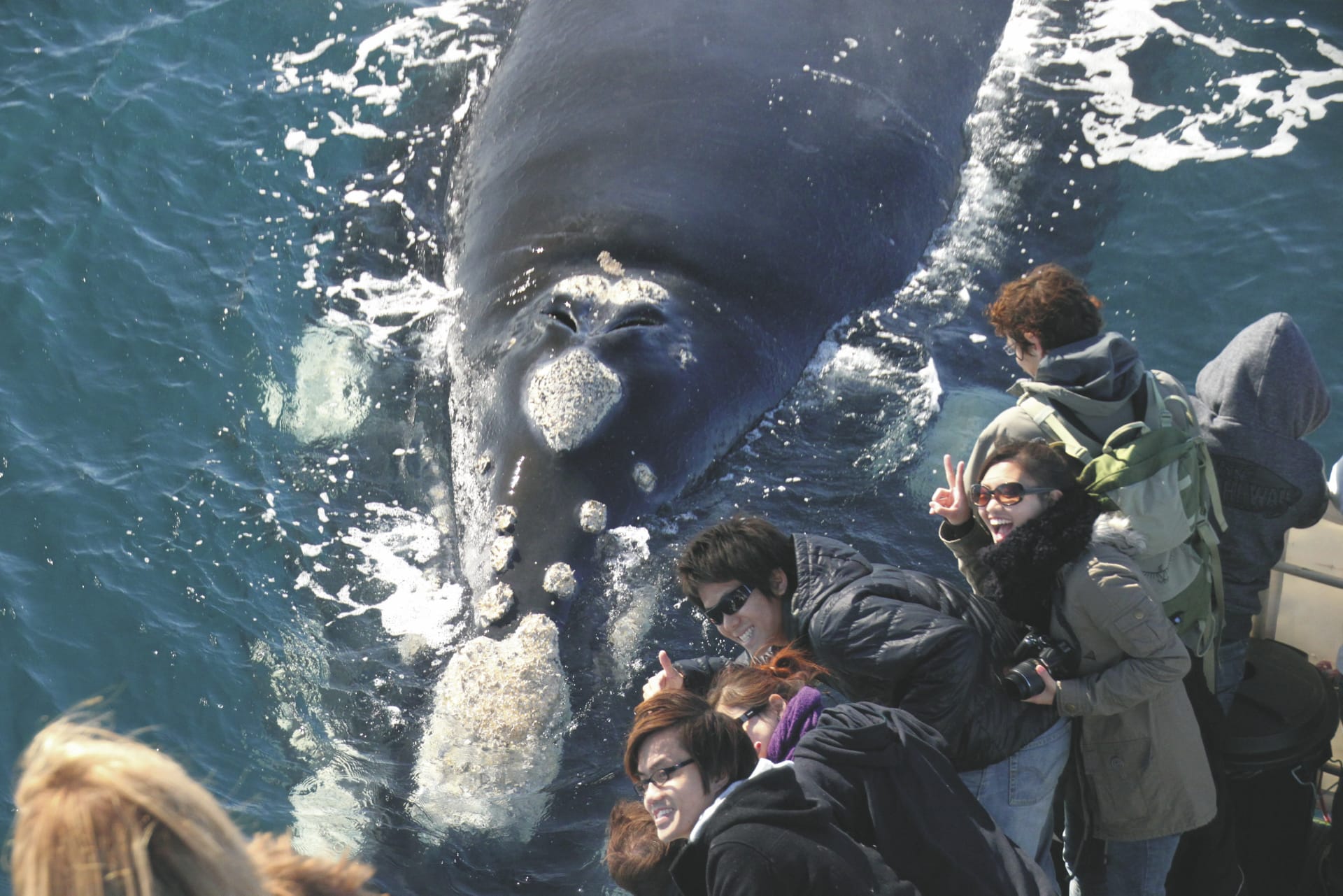 AUS_WA_20190922_IVB_5