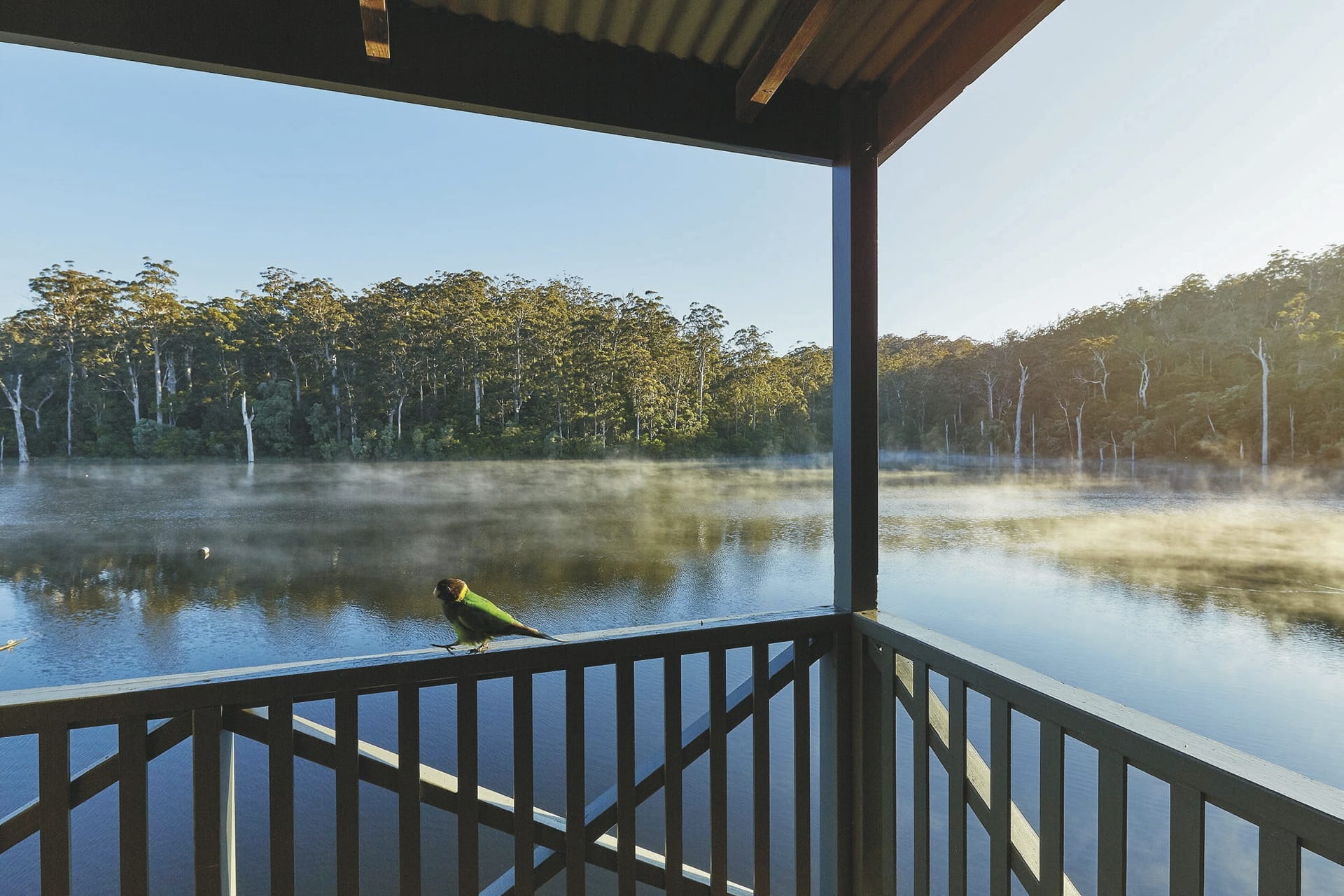 AUS_WA_20220726_BR_5