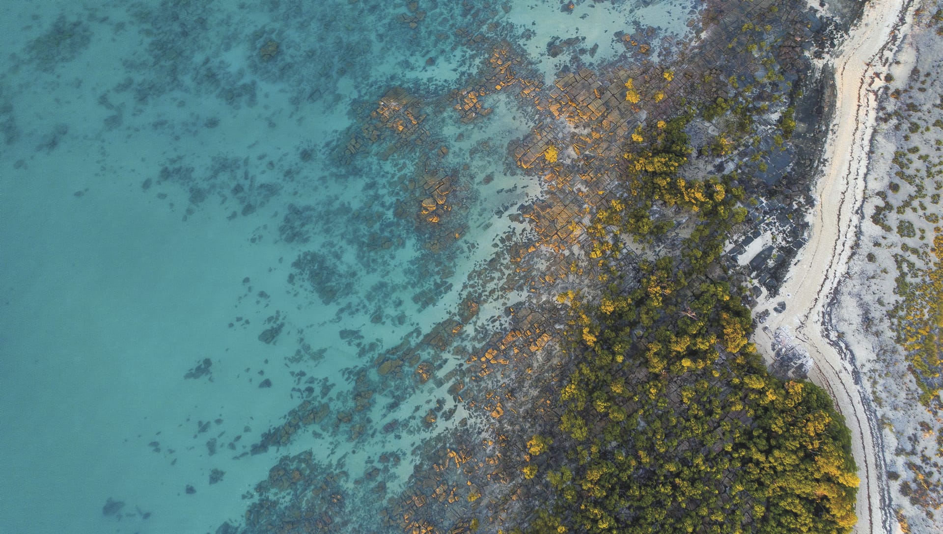 AUS_WA_20221030_IVB_5