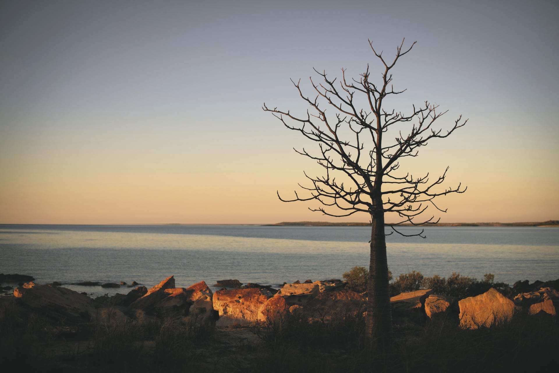 AUS_WA_20221030_IVB_6