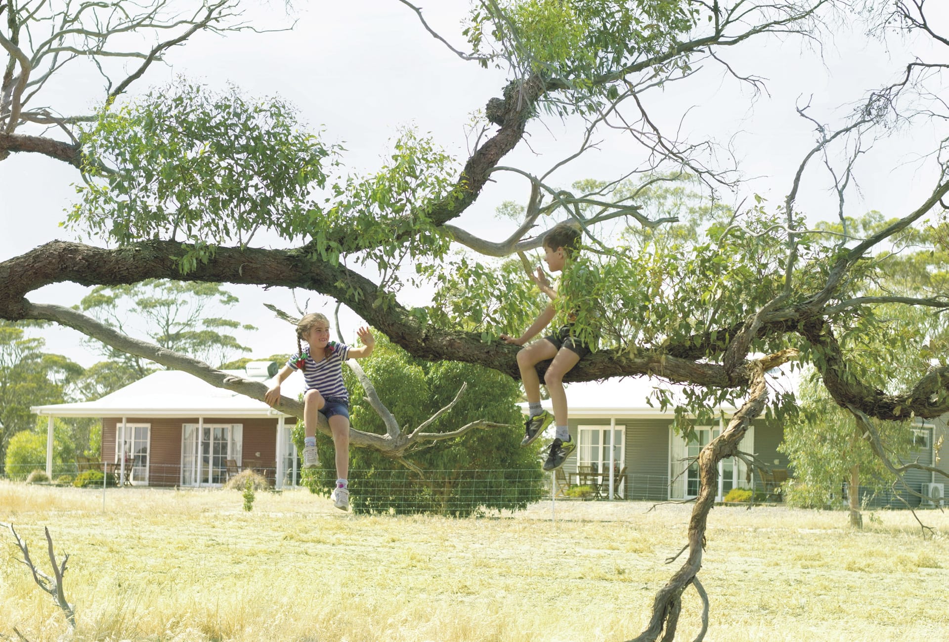 AUS_WA_20231019_BR_8