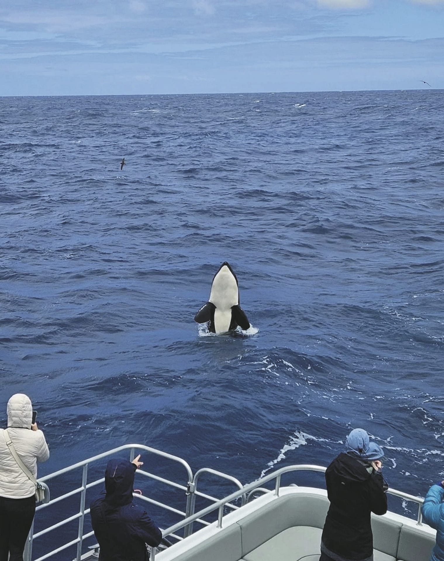 AUS_WA_20250424_IVB_29