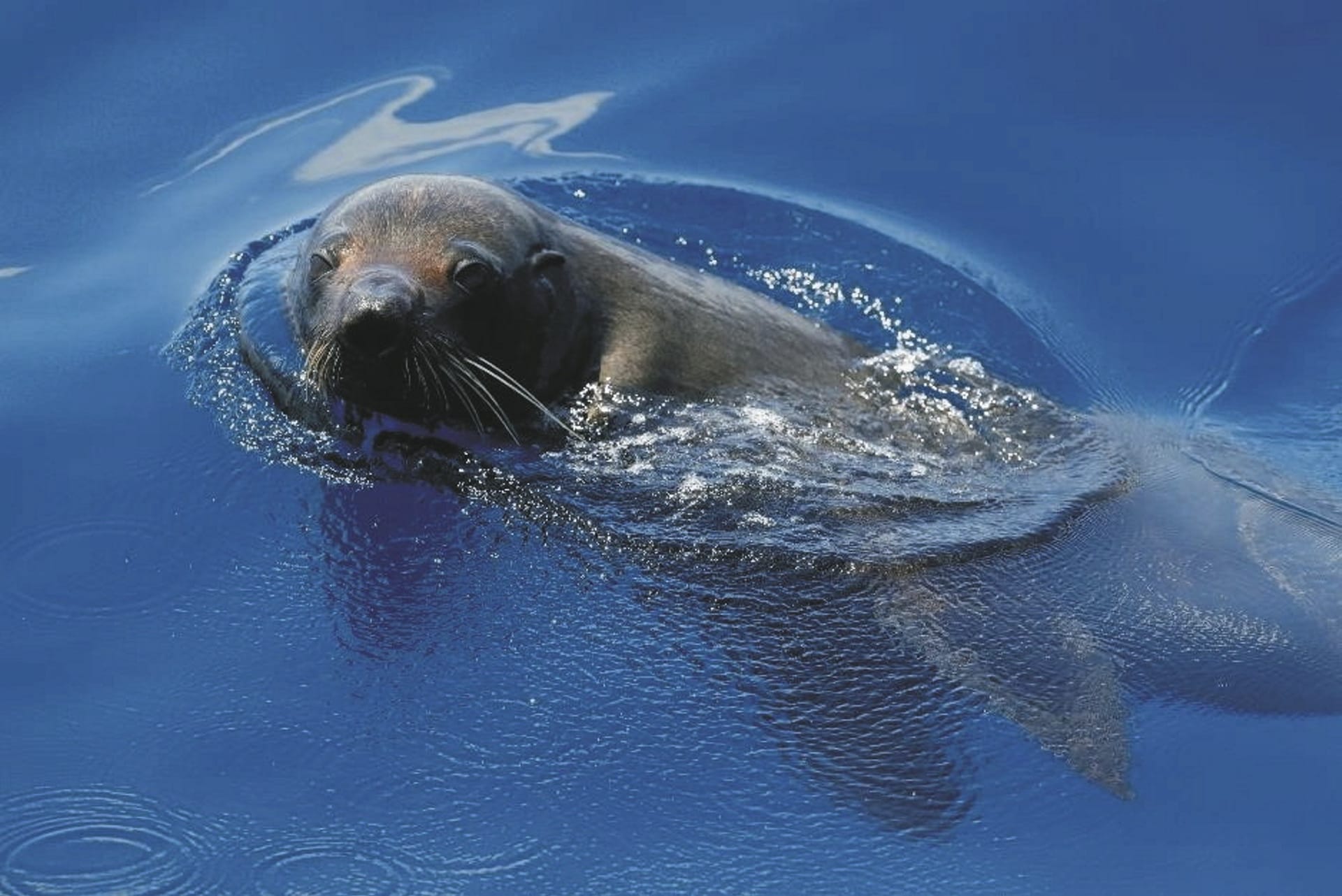 AUS_WA_20250424_IVB_7