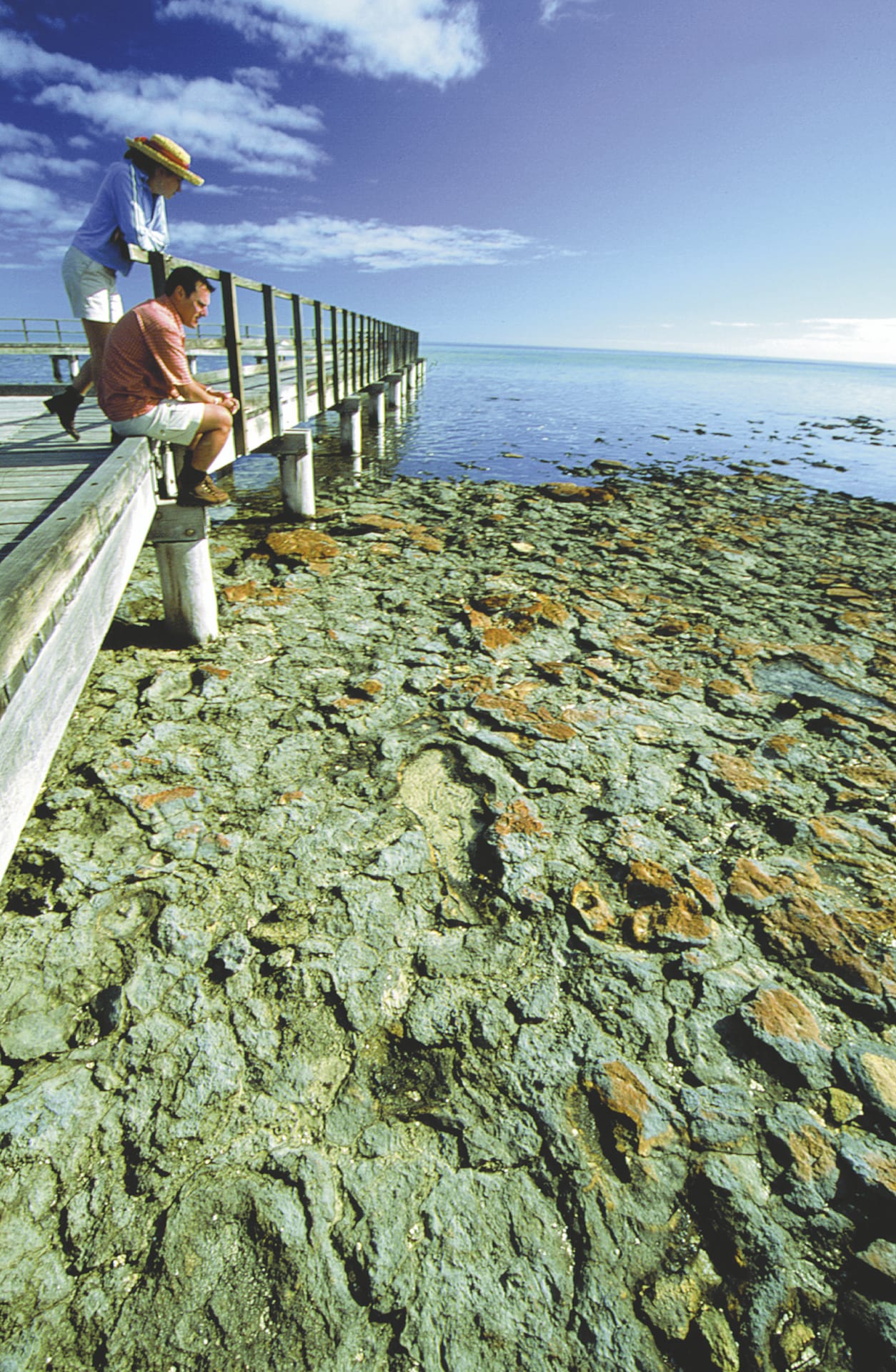 AUS_WA_701_20070907_IVB