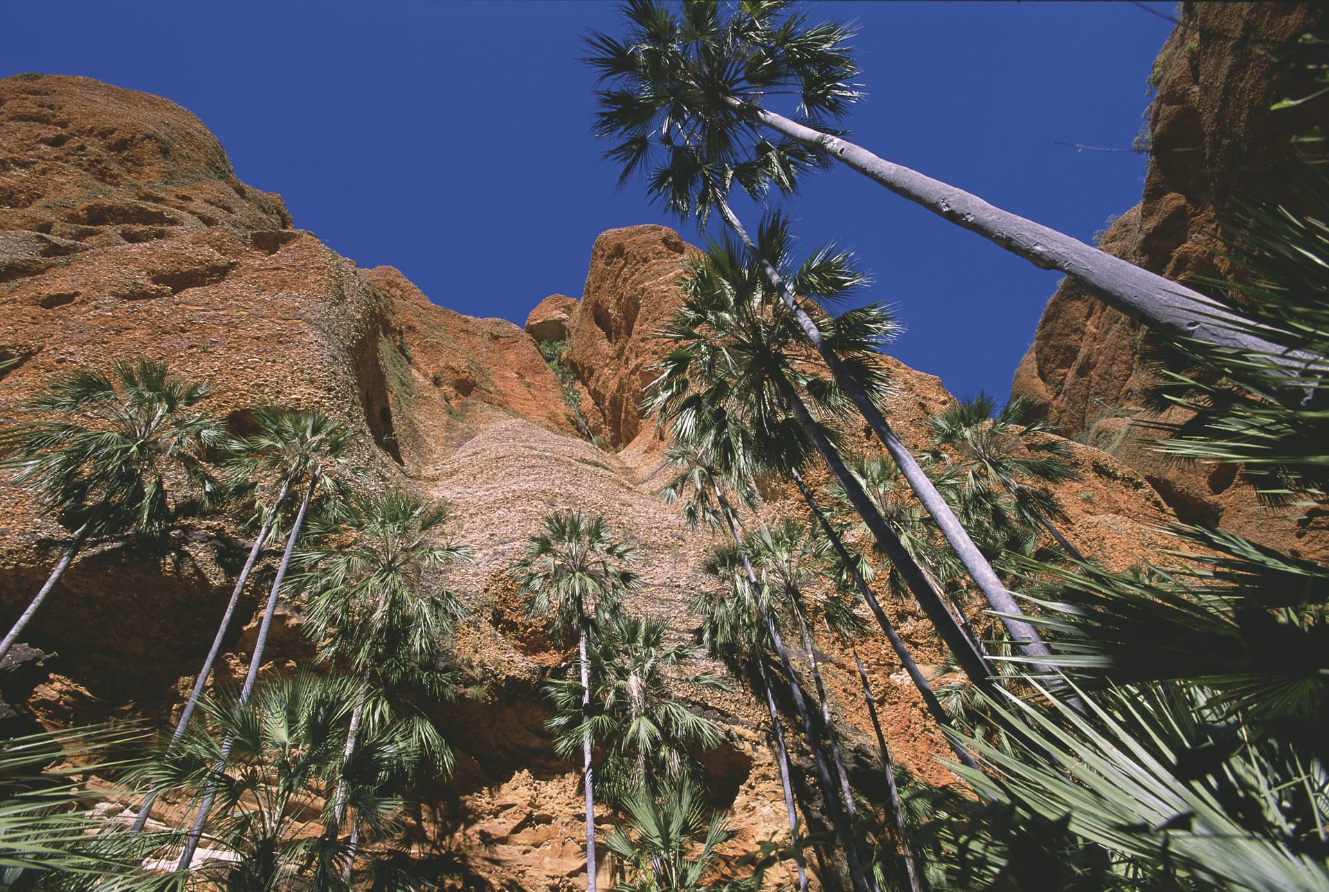 AUS_WA_983_20070928_IVB