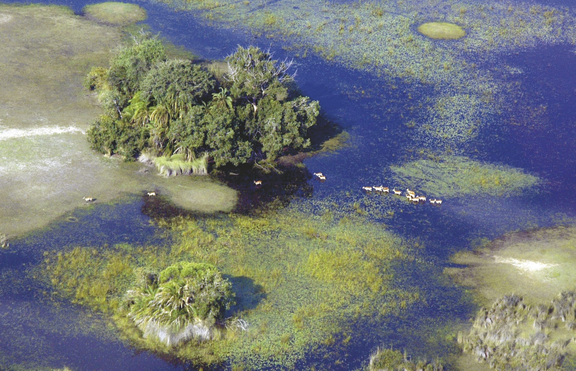 BOT_REG_015_20070824_SS