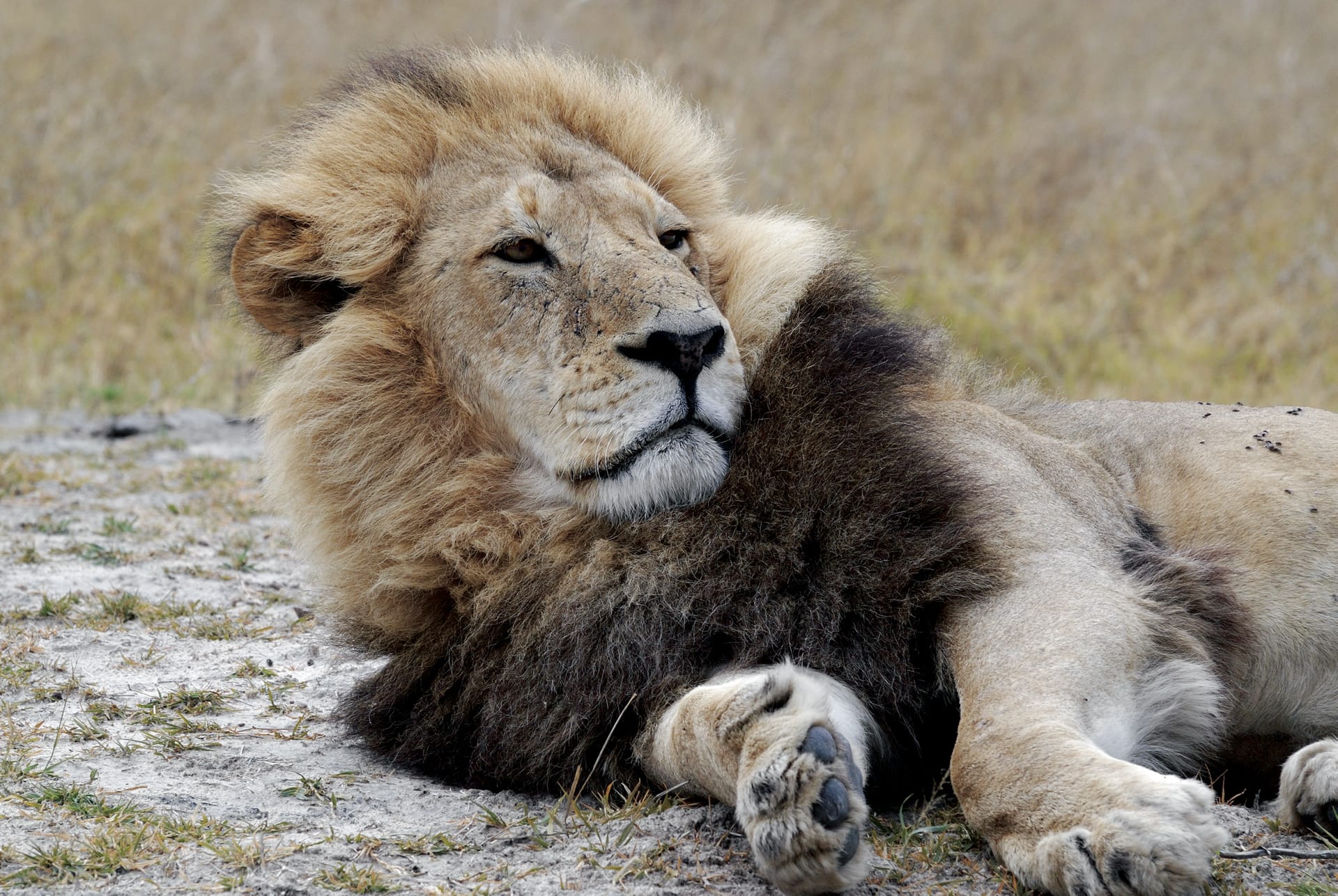 BOT_REG_019_20150522_AD