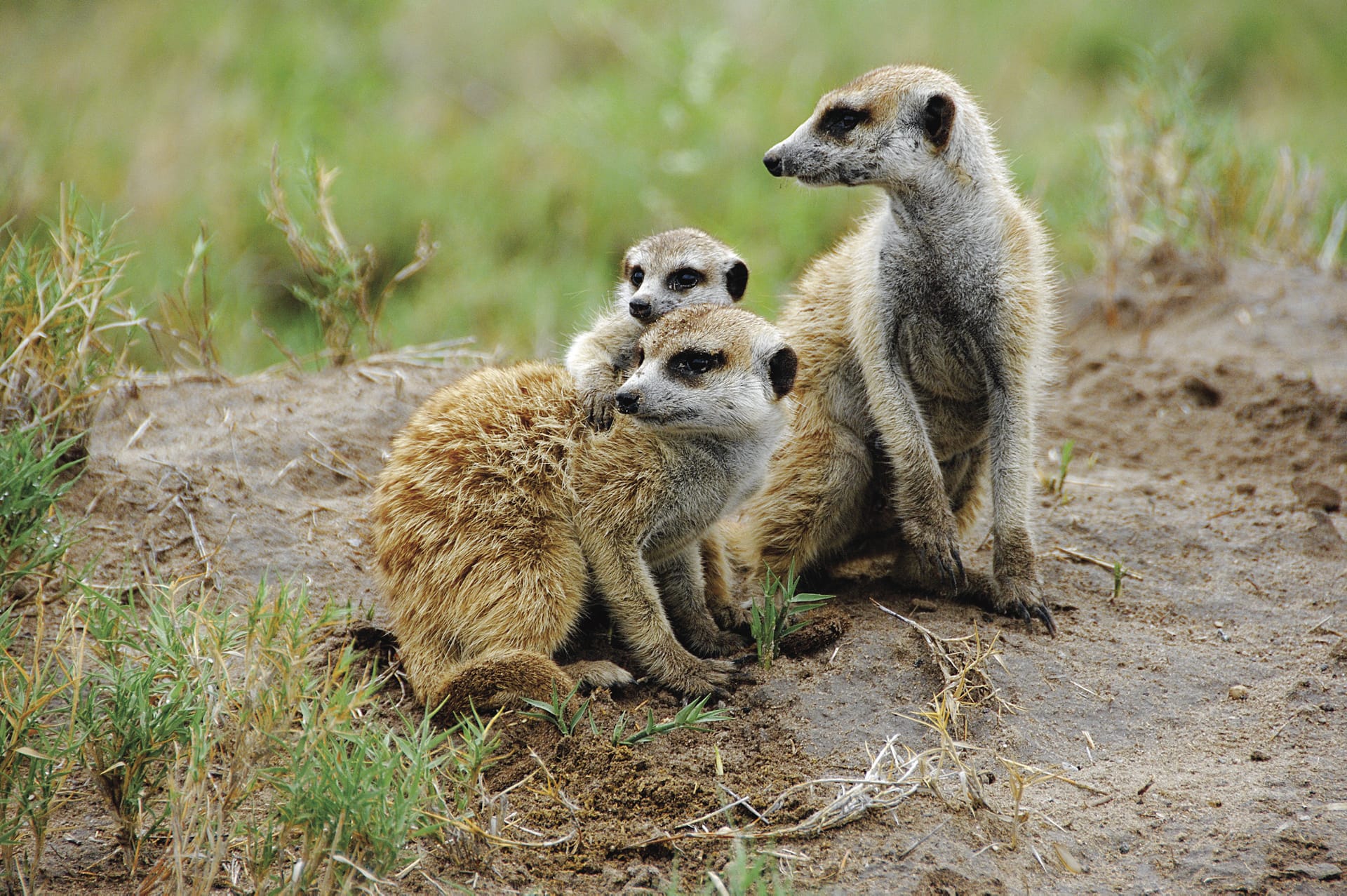 BOT_REG_069_20140410_ss