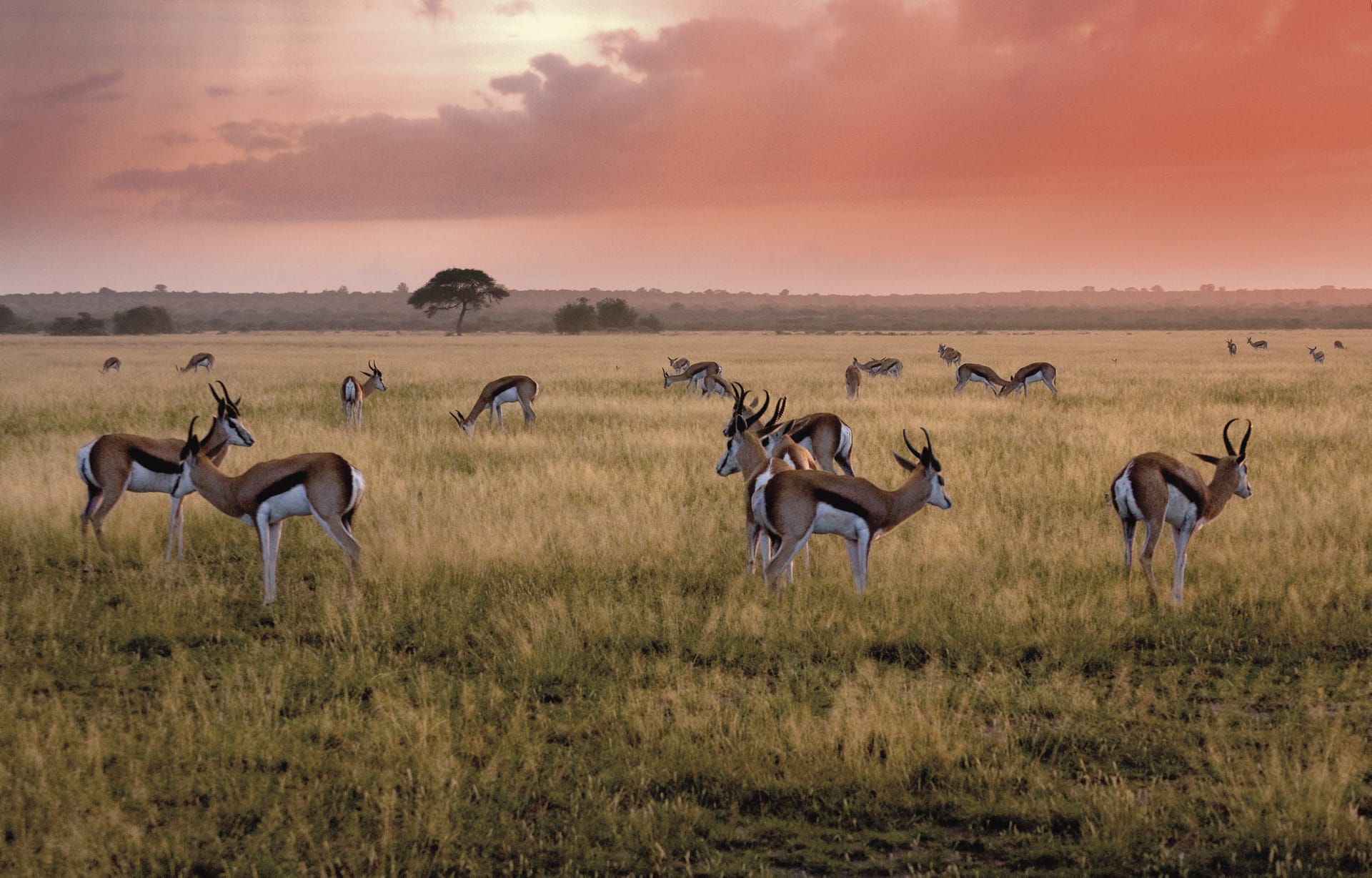 BOT_REG_070_20140410_ss