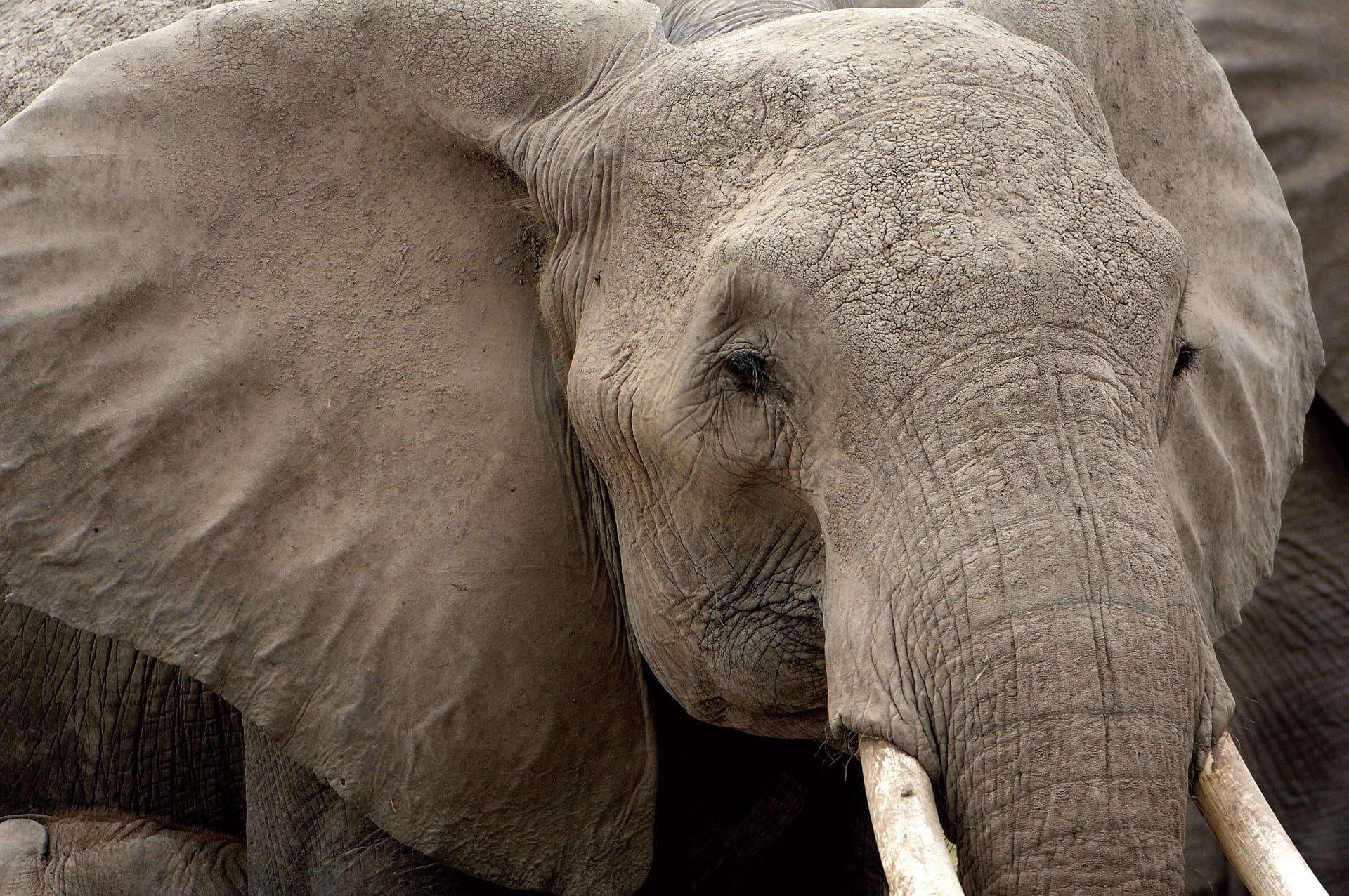 BOT_REG_360_20111207_ss