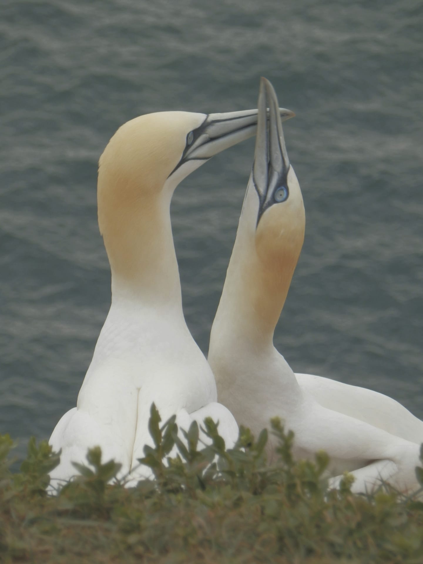 EUR_DE_20240724_SM_2