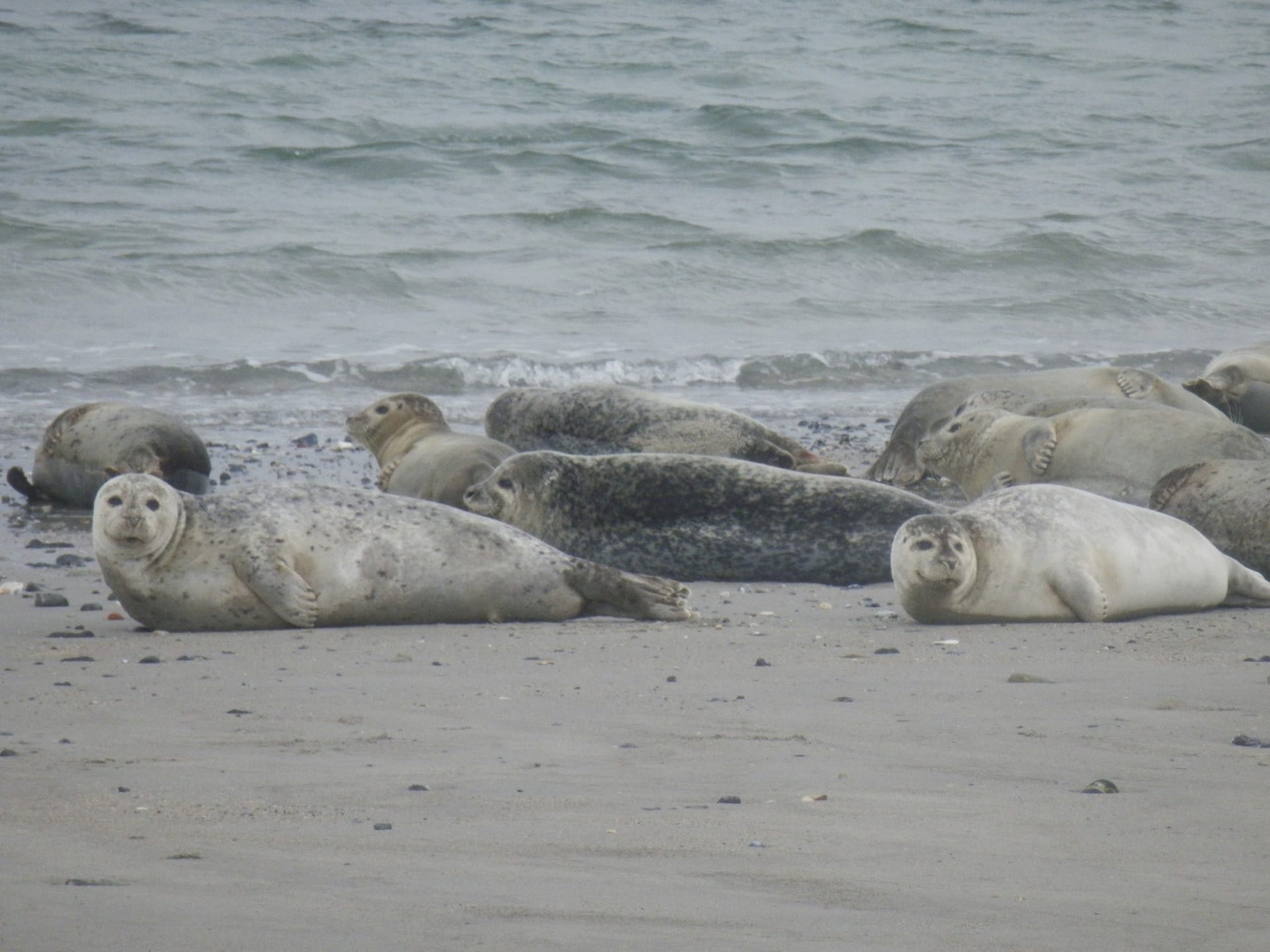 EUR_DE_20240724_SM_4