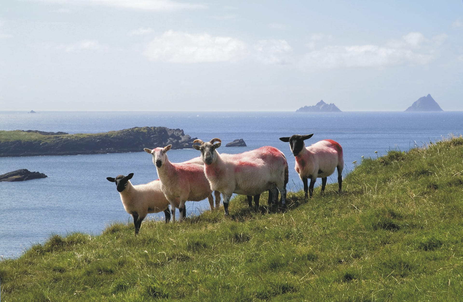 EUR_IE_20211213_JL_6