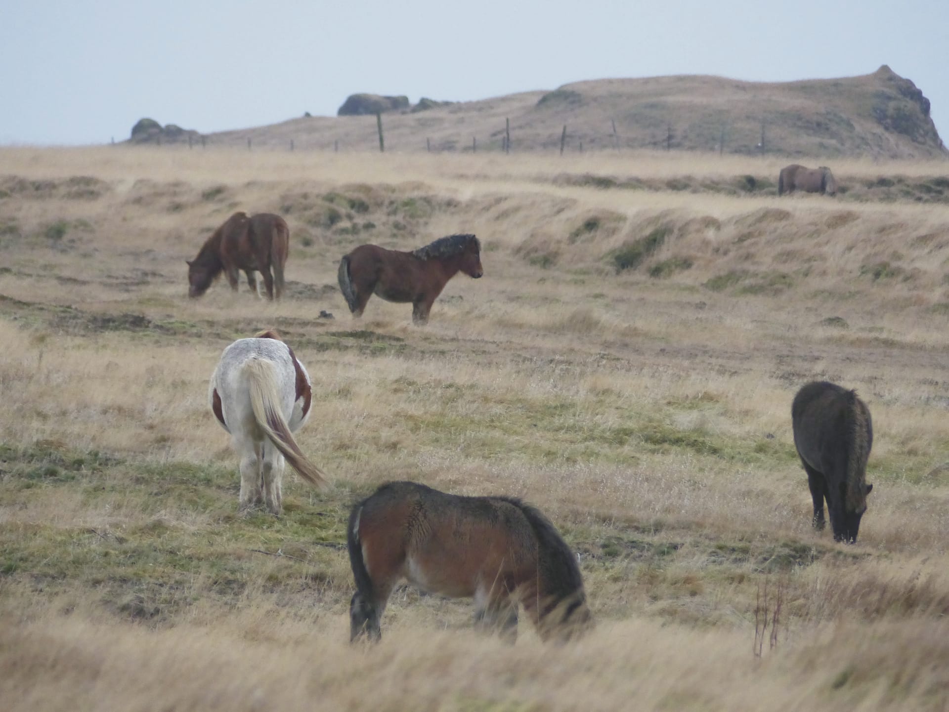 EUR_IS_028_20150702_KA