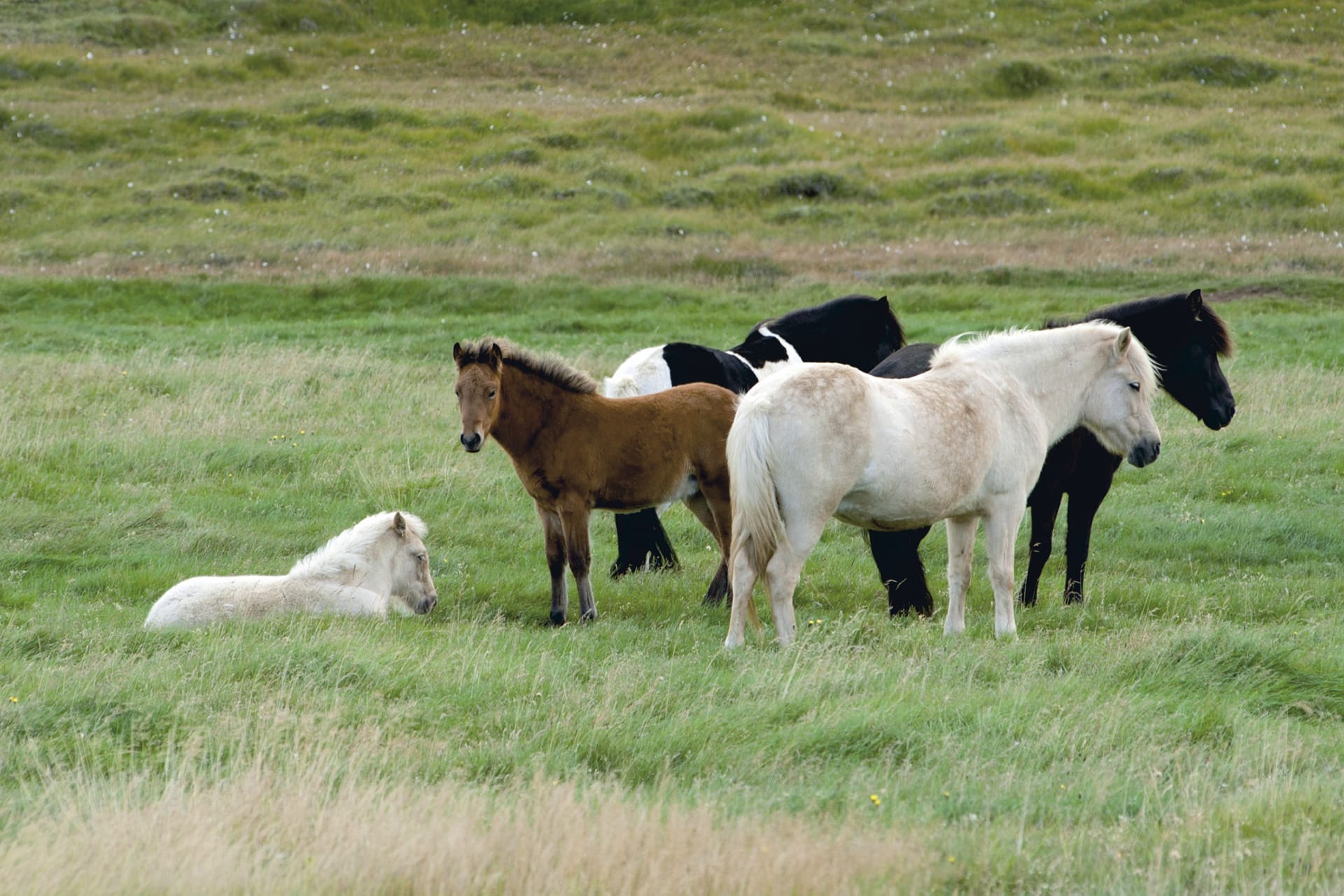 EUR_IS_129_20110905_KA