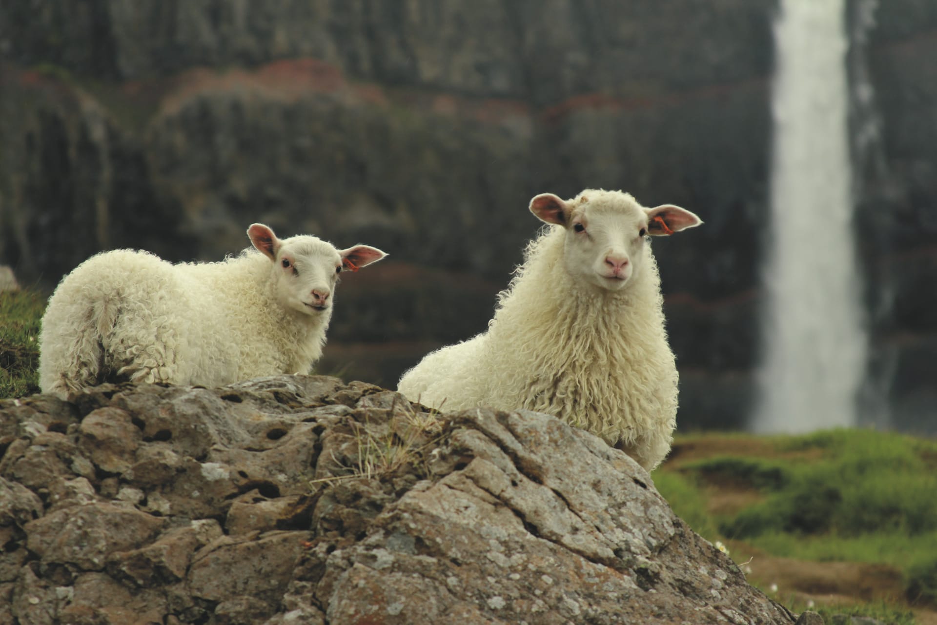 EUR_IS_333_20160801_KA