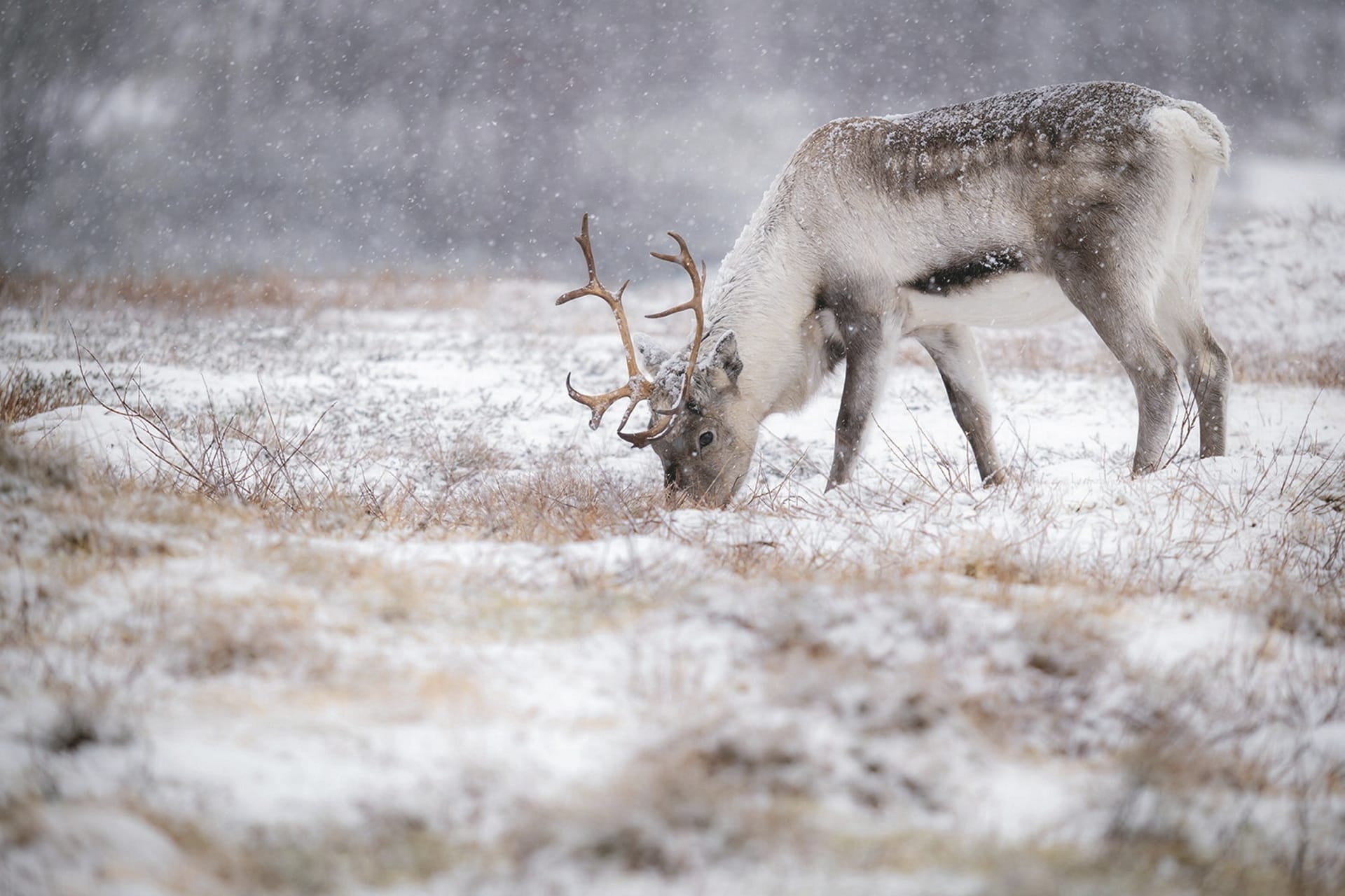 EUR_NO_20240716_JL_1