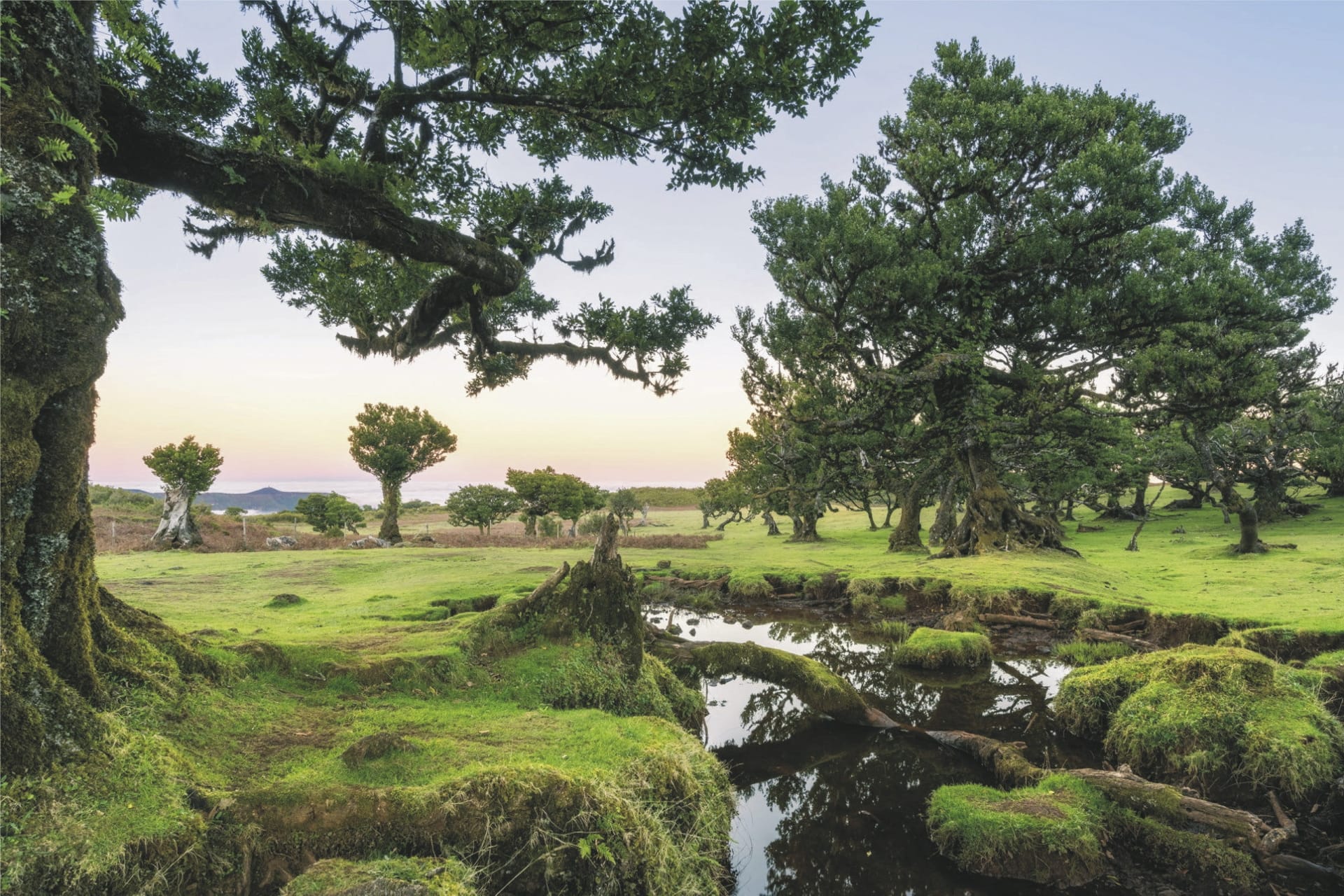 EUR_PT_20231204_JL_5