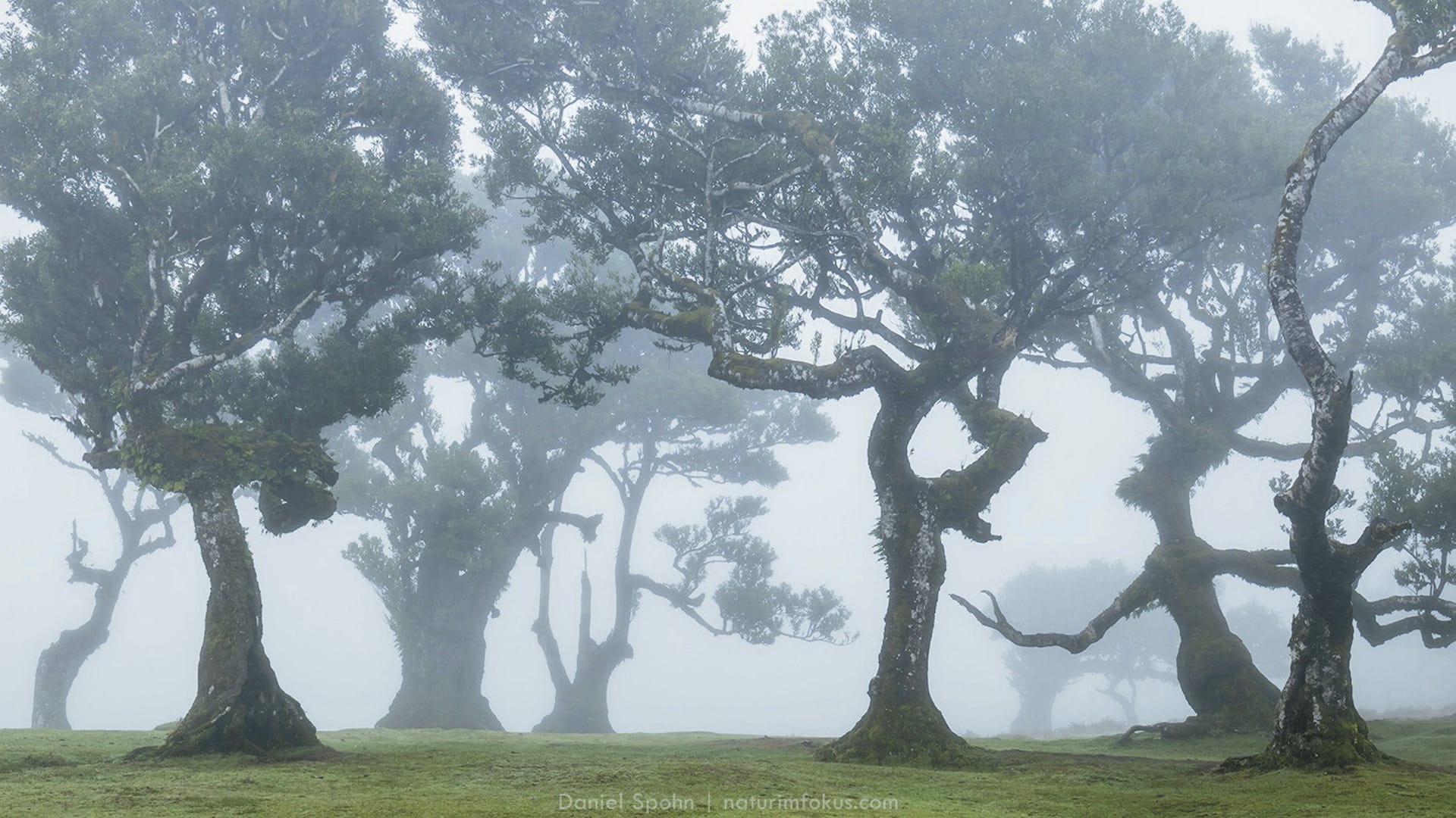 EUR_PT_20241128_JL_6