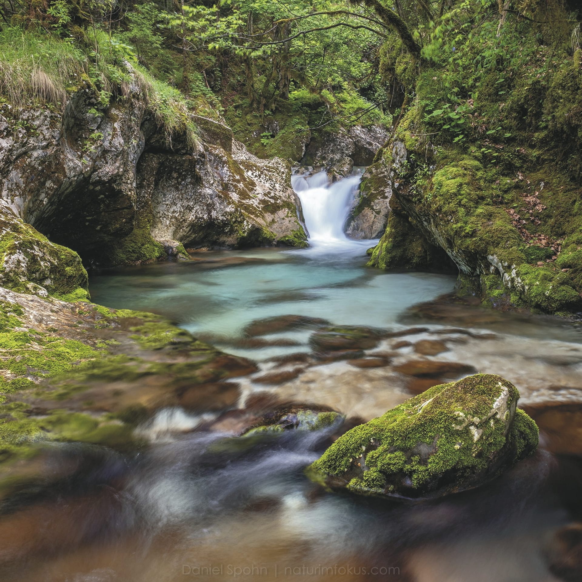 EUR_SI_20220729_JL_2