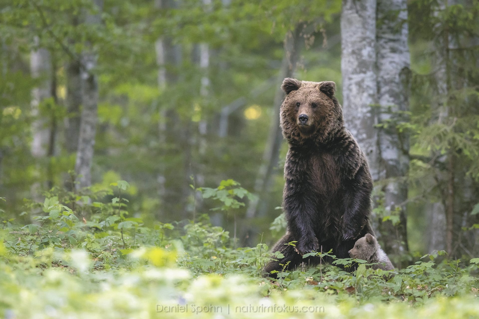 EUR_SI_20220729_JL_6