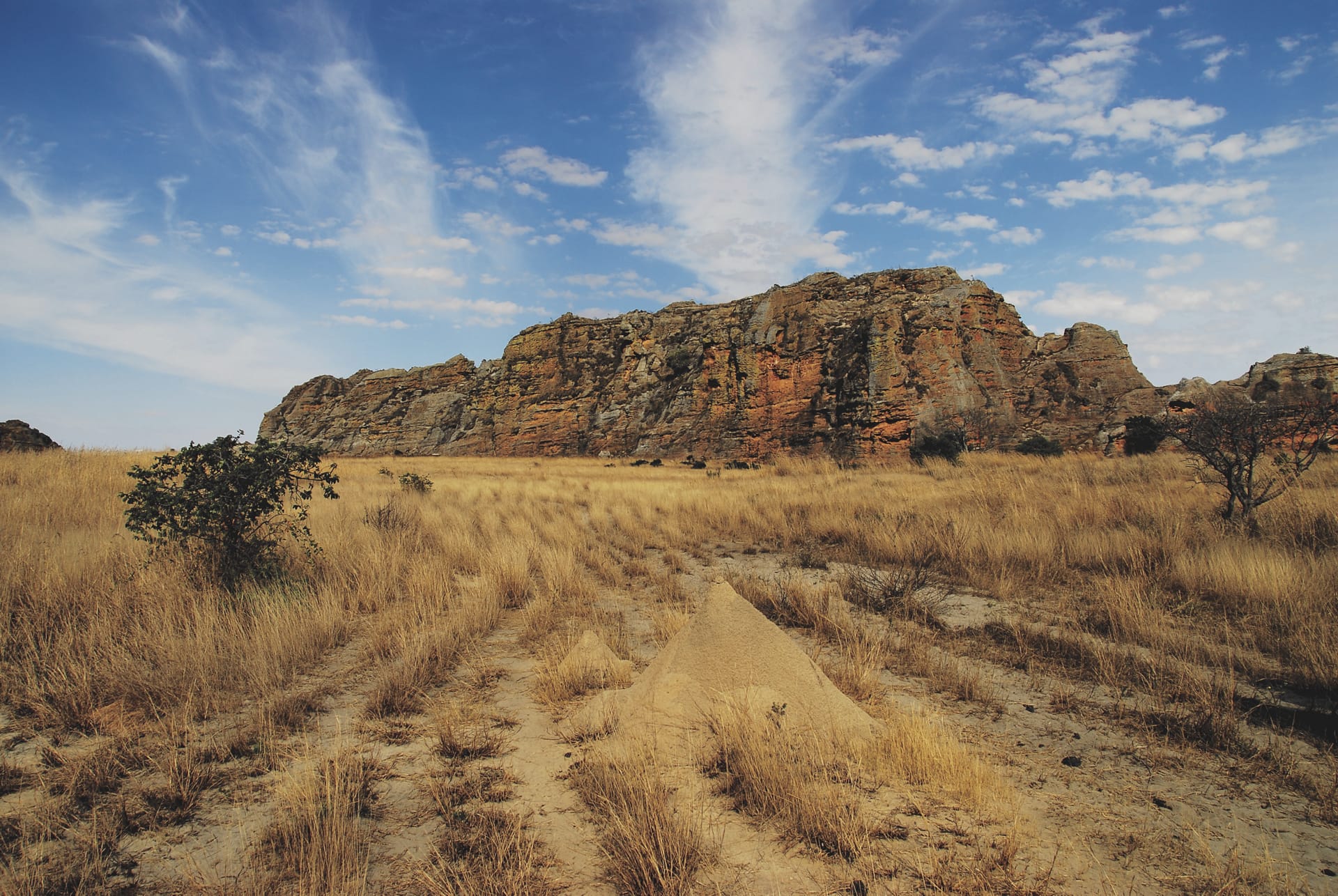 IOZ_MAD_001_20130710_DTT