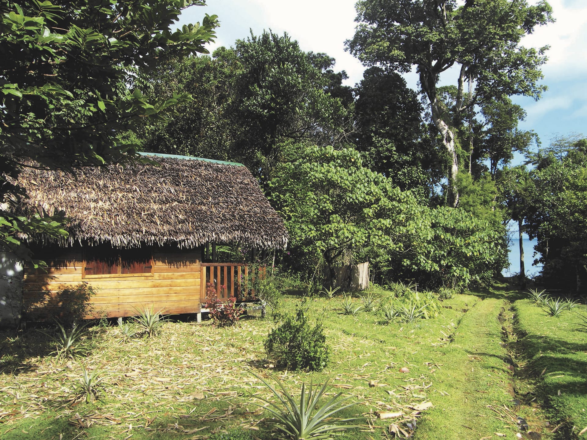 IOZ_MAD_001_20130802_DTT