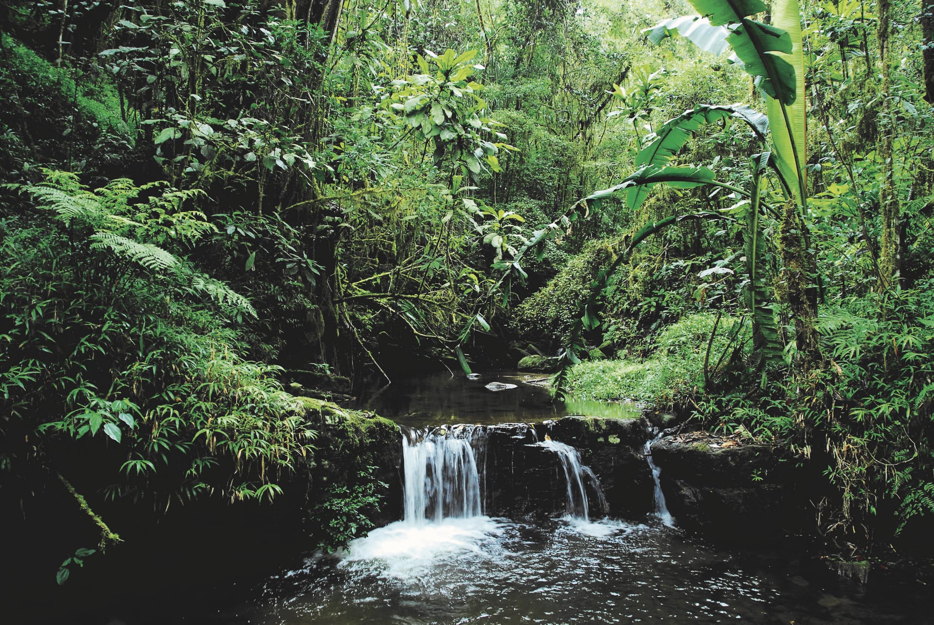 IOZ_MAD_002_20130710_DTT