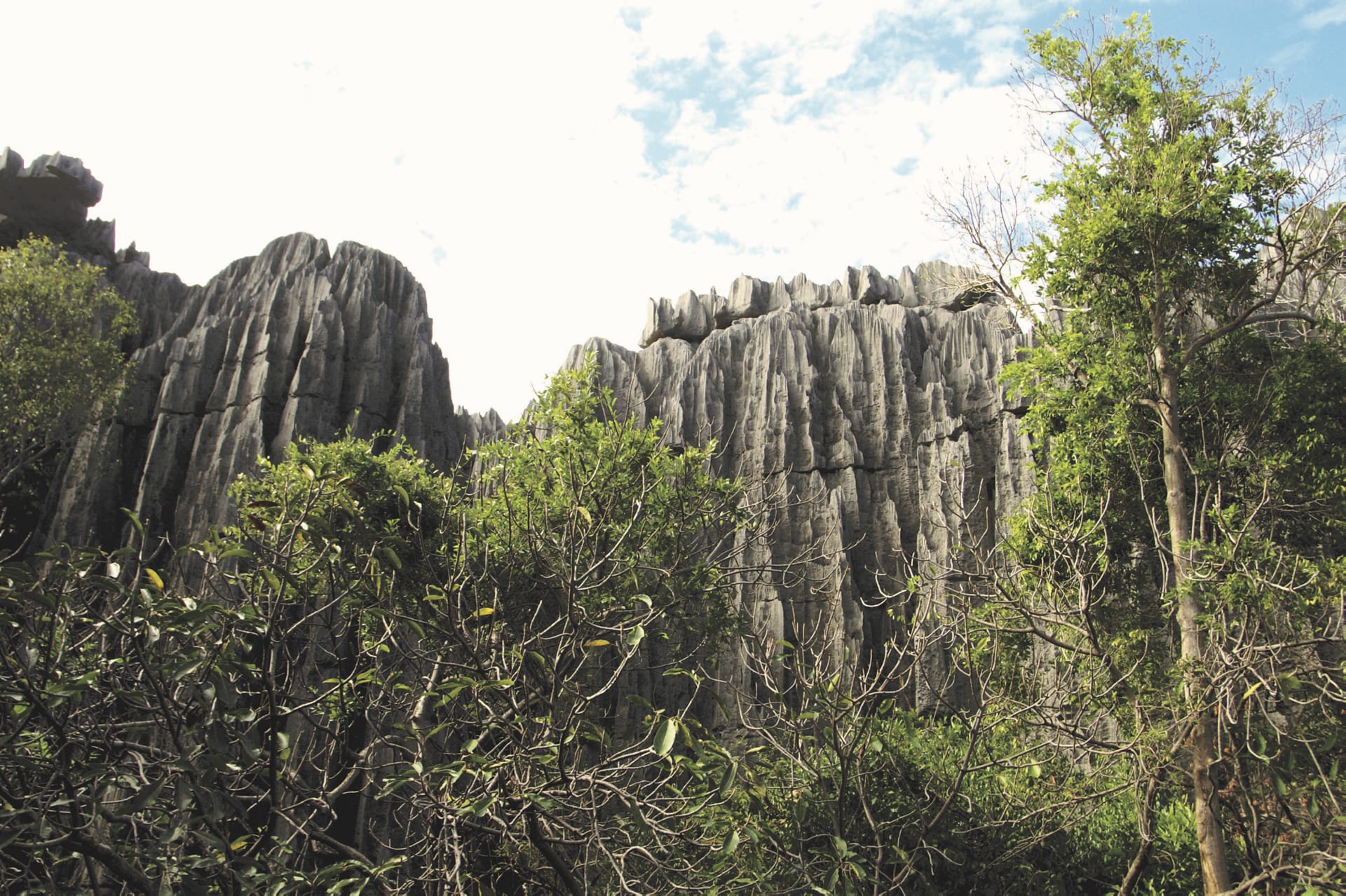 IOZ_MAD_005_20130710_DTT