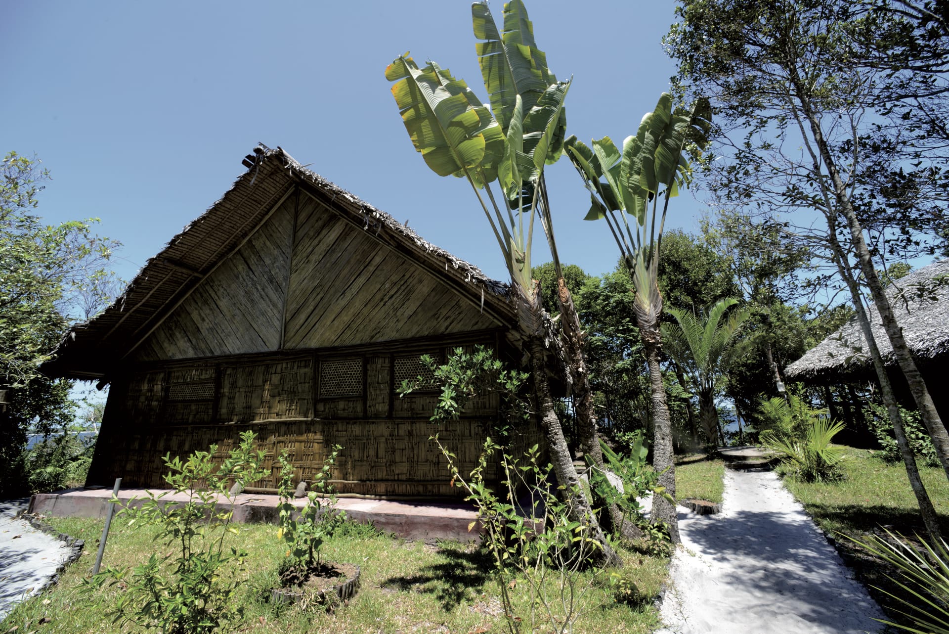 IOZ_MAD_005_20150724_DTT